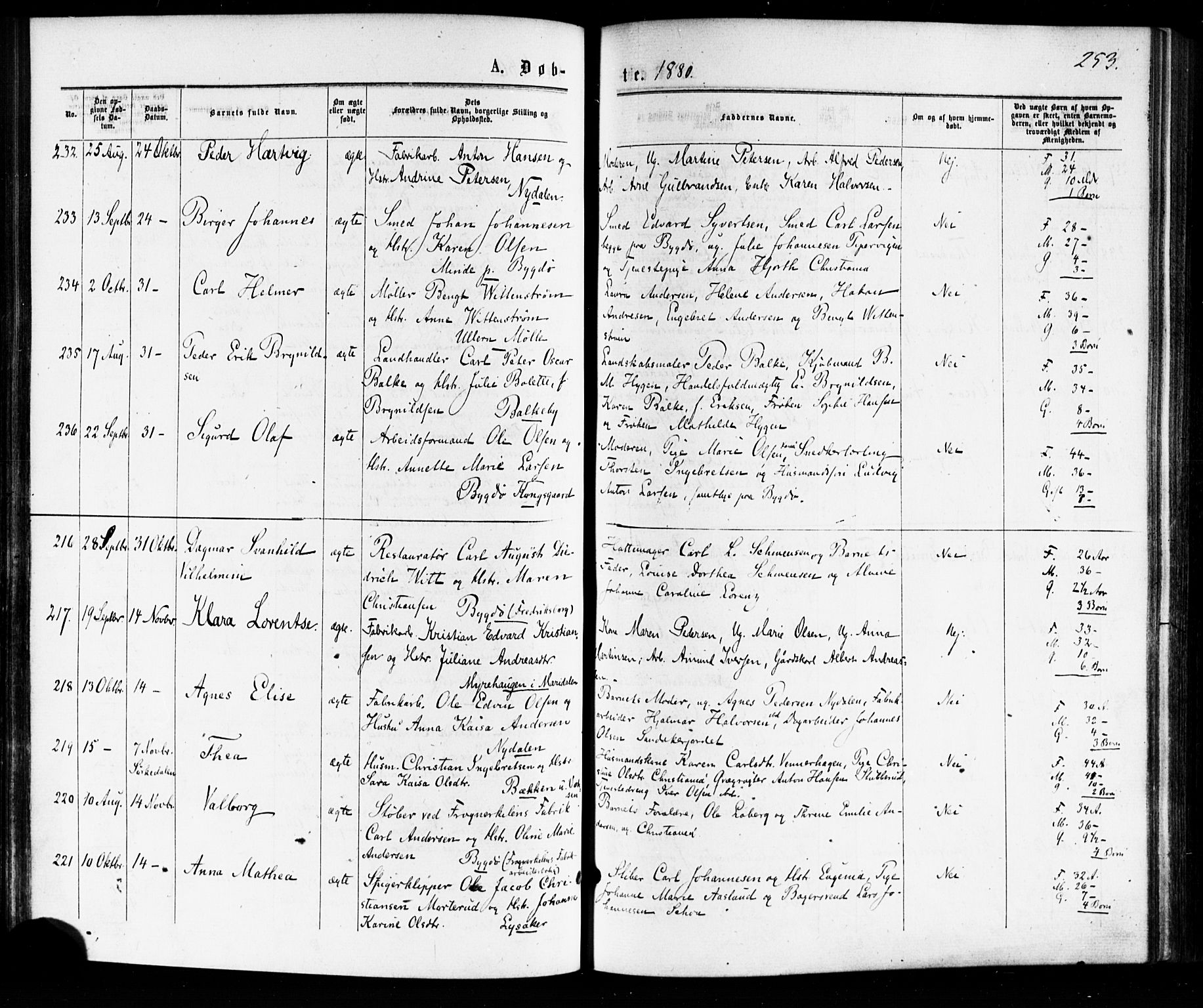Vestre Aker prestekontor Kirkebøker, AV/SAO-A-10025/F/Fa/L0007: Ministerialbok nr. 7, 1875-1886, s. 253
