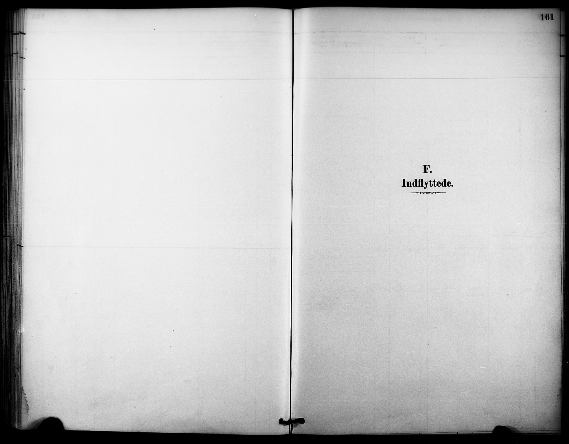 Nore kirkebøker, SAKO/A-238/F/Fc/L0004: Ministerialbok nr. III 4, 1885-1898, s. 161