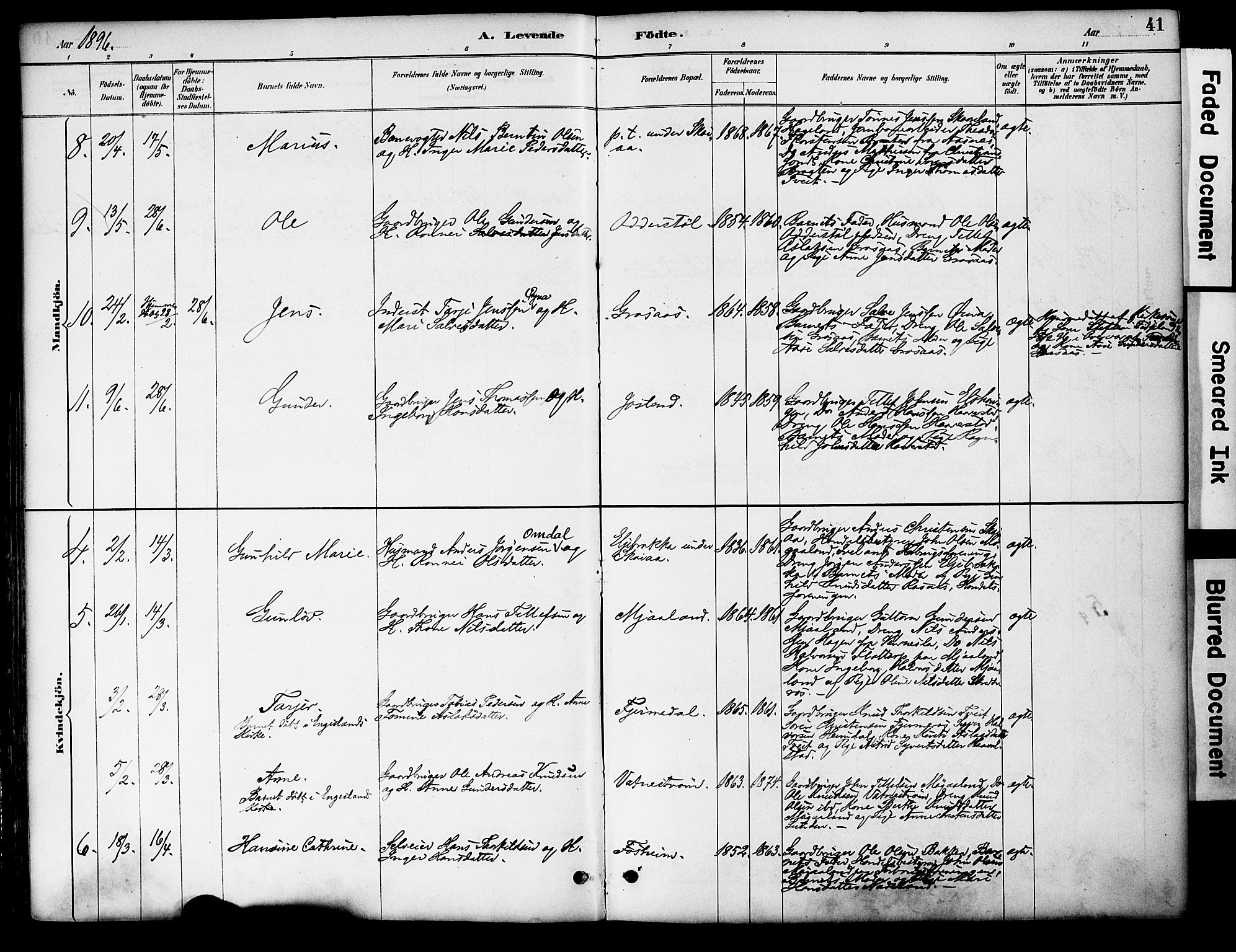 Evje sokneprestkontor, AV/SAK-1111-0008/F/Fa/Fac/L0003: Ministerialbok nr. A 3, 1884-1909, s. 41