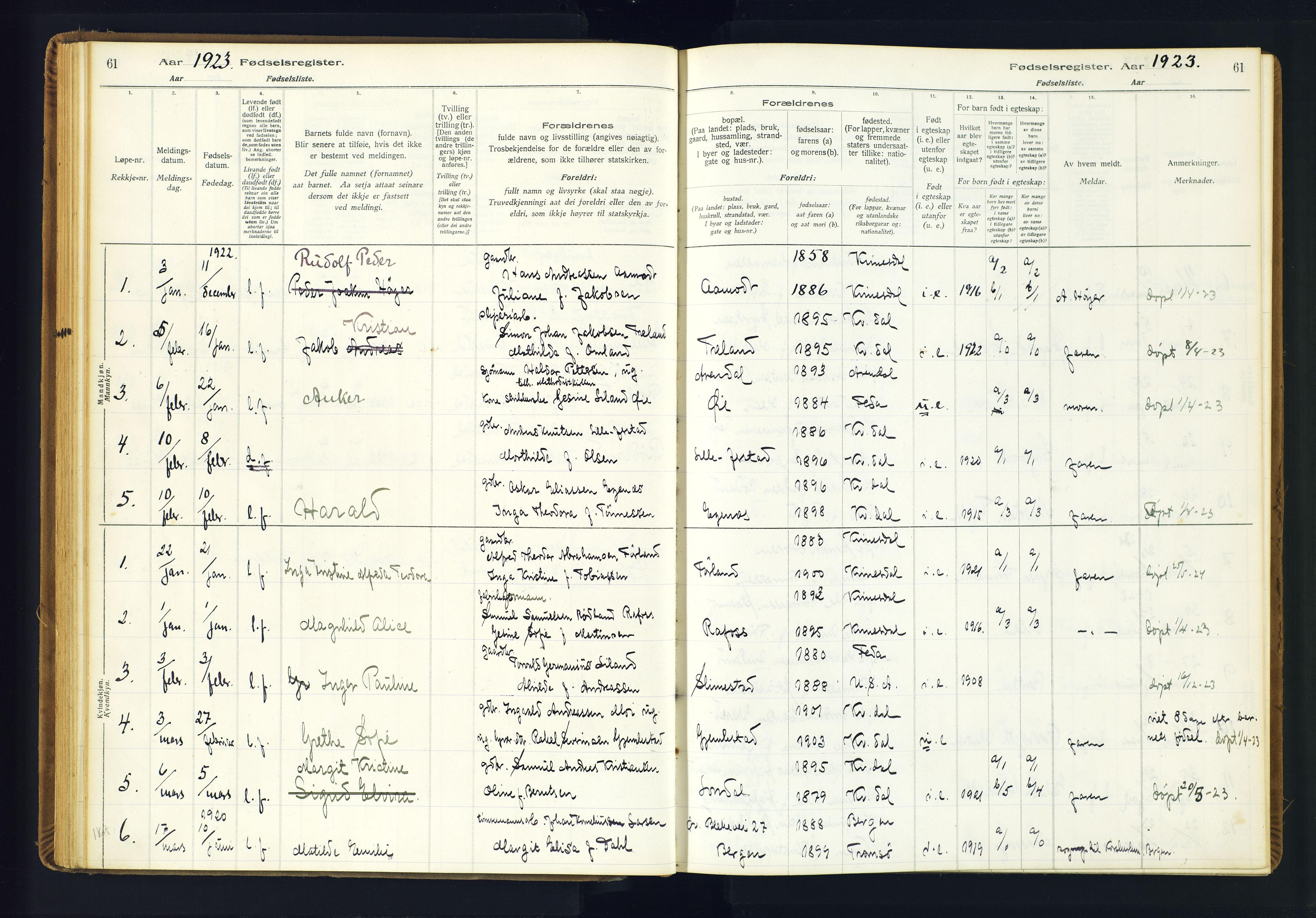Kvinesdal sokneprestkontor, SAK/1111-0026/J/Ja/L0001: Fødselsregister nr. 1, 1916-1941, s. 61