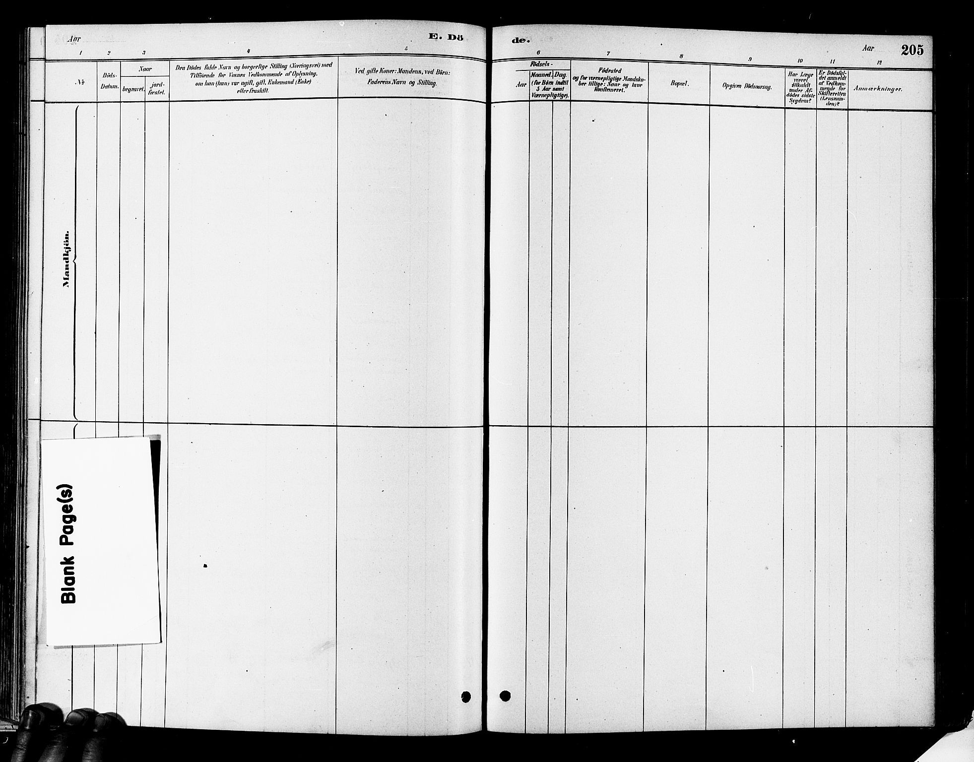 Flesberg kirkebøker, SAKO/A-18/F/Fa/L0008: Ministerialbok nr. I 8, 1879-1899, s. 205