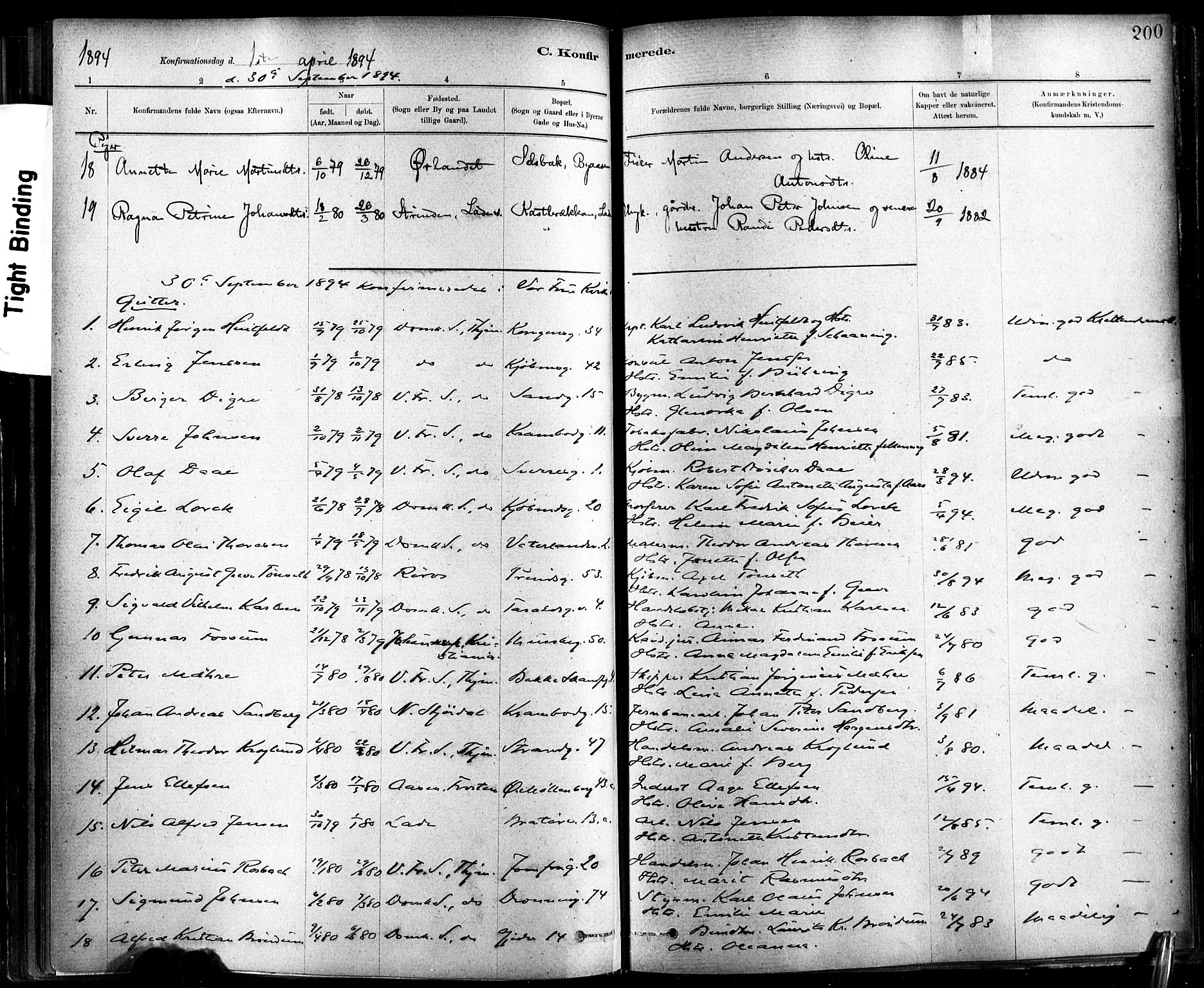 Ministerialprotokoller, klokkerbøker og fødselsregistre - Sør-Trøndelag, SAT/A-1456/602/L0119: Ministerialbok nr. 602A17, 1880-1901, s. 200