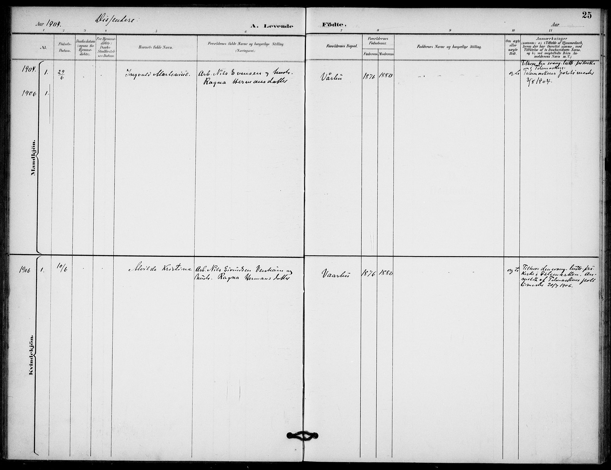 Lunde kirkebøker, SAKO/A-282/F/Fb/L0004: Ministerialbok nr. II 4, 1892-1907, s. 25