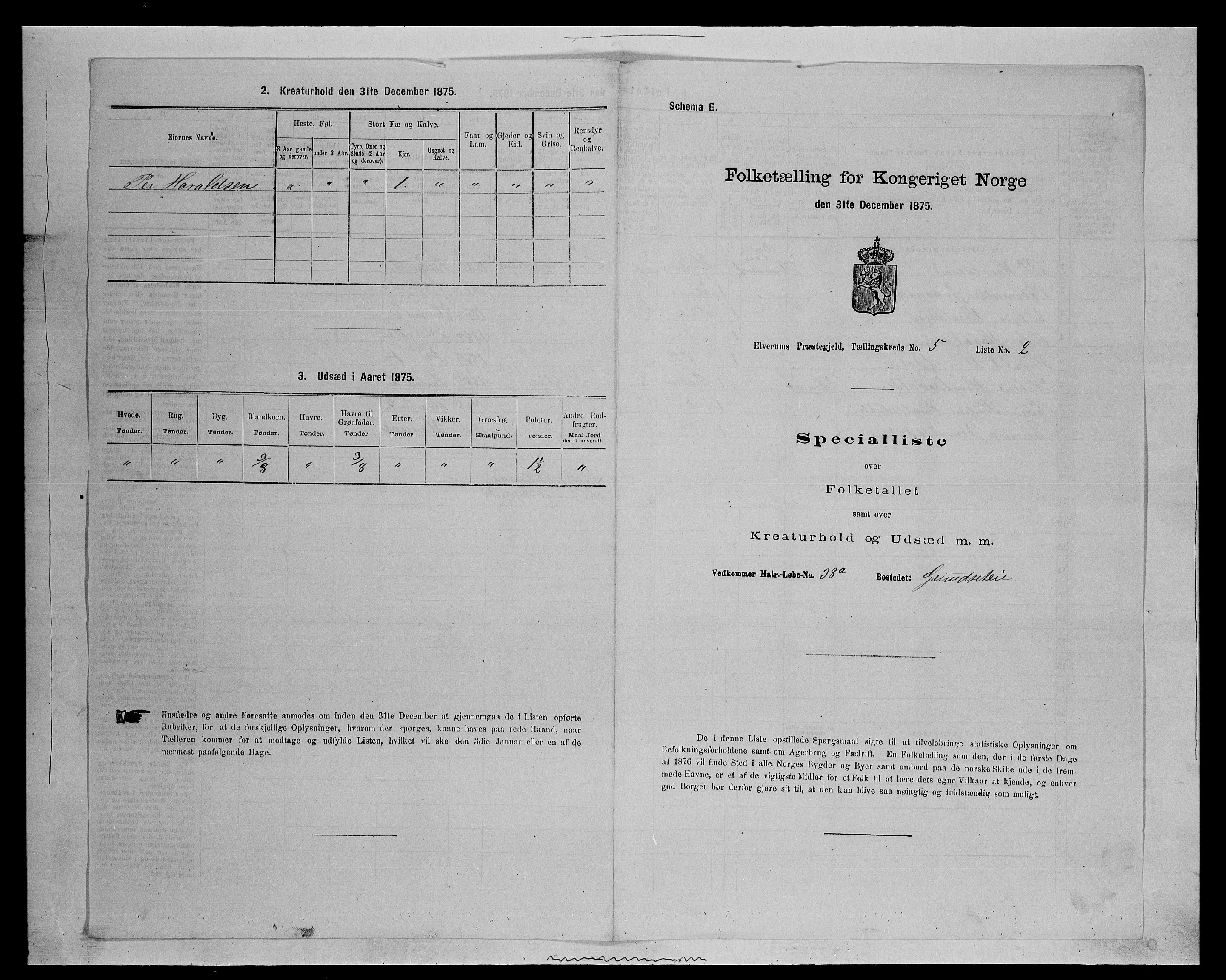 SAH, Folketelling 1875 for 0427P Elverum prestegjeld, 1875, s. 1228