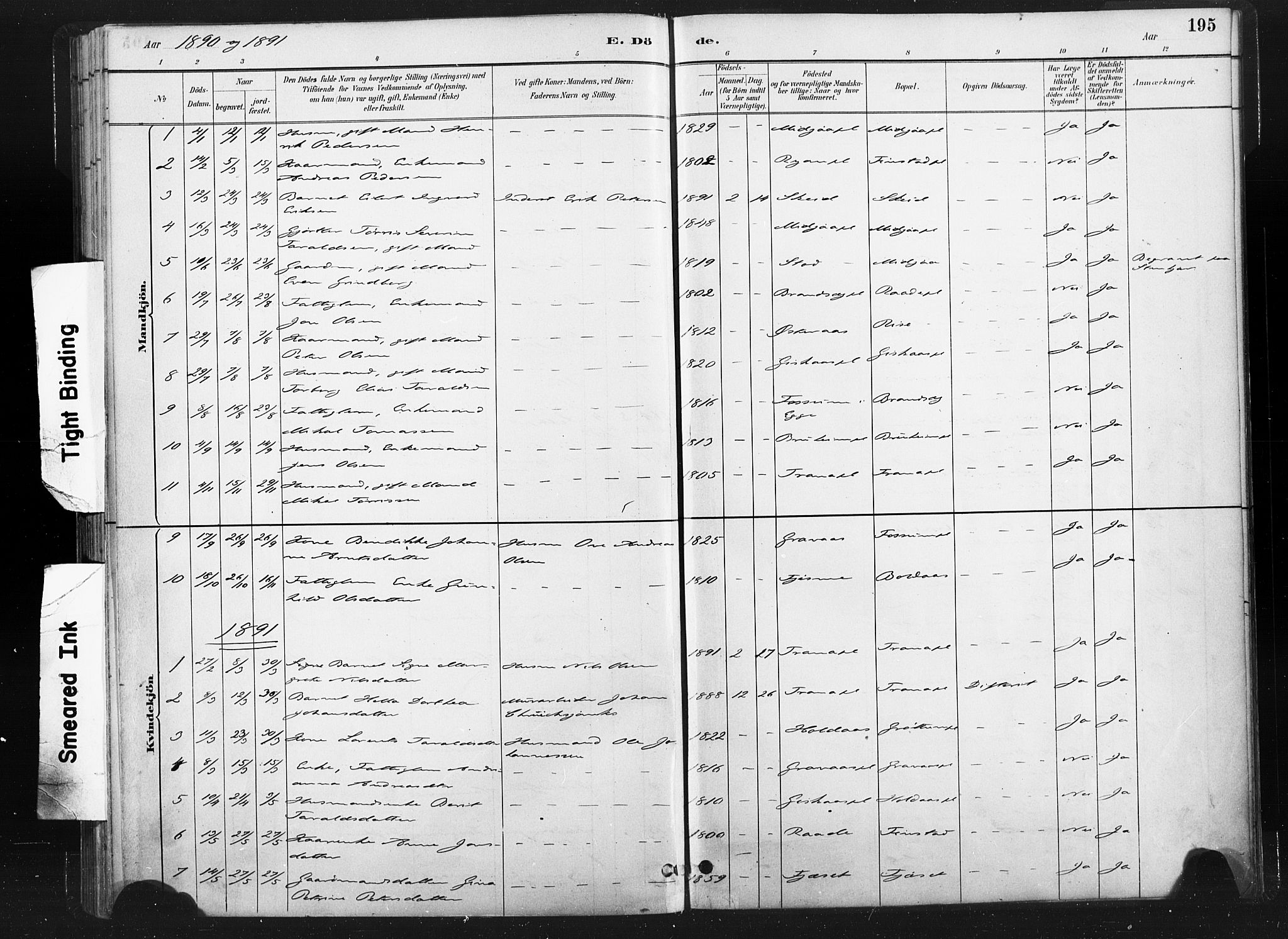 Ministerialprotokoller, klokkerbøker og fødselsregistre - Nord-Trøndelag, SAT/A-1458/736/L0361: Ministerialbok nr. 736A01, 1884-1906, s. 195