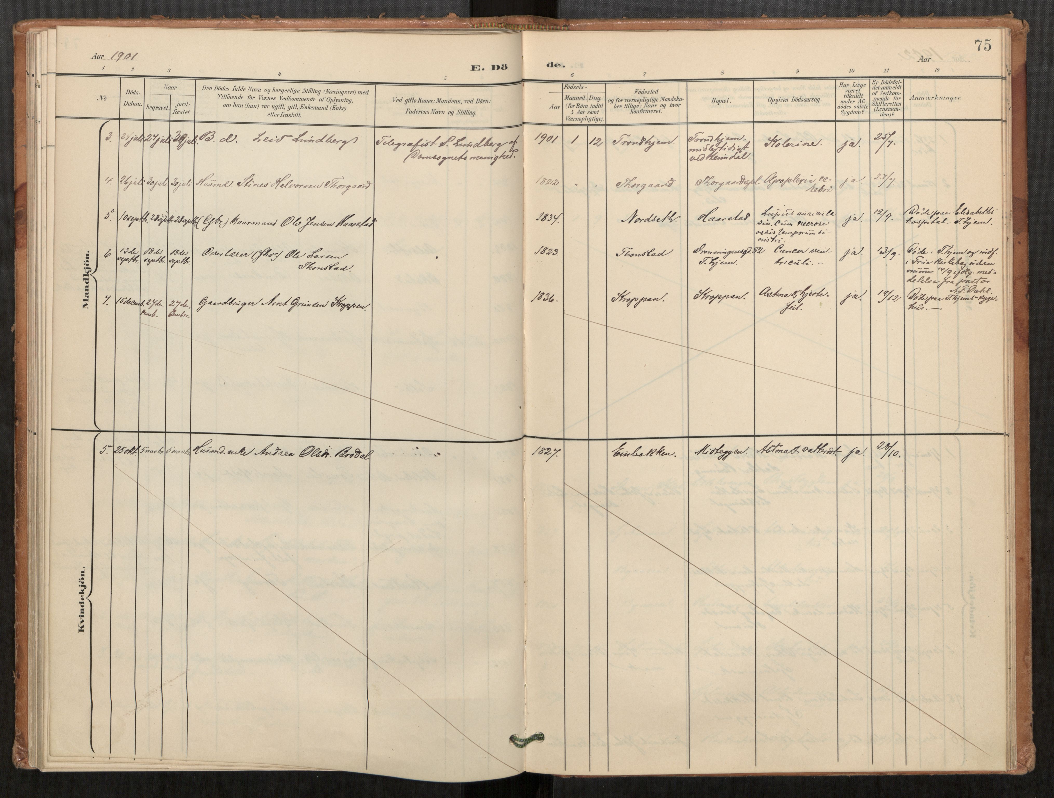 Klæbu sokneprestkontor, SAT/A-1112: Ministerialbok nr. 2, 1900-1916, s. 75