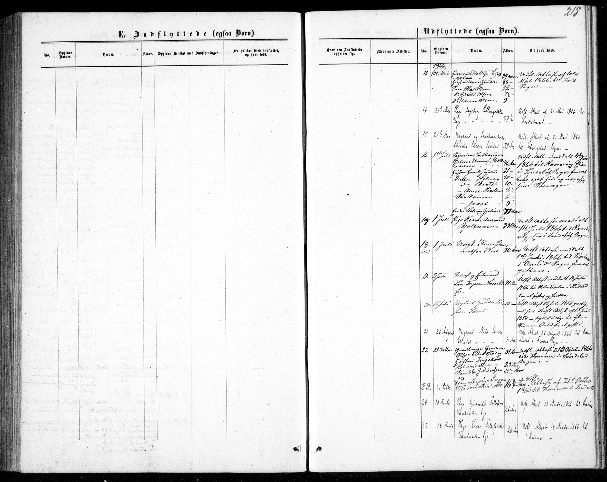 Gjerstad sokneprestkontor, AV/SAK-1111-0014/F/Fb/Fbb/L0003: Klokkerbok nr. B 3, 1862-1889, s. 215