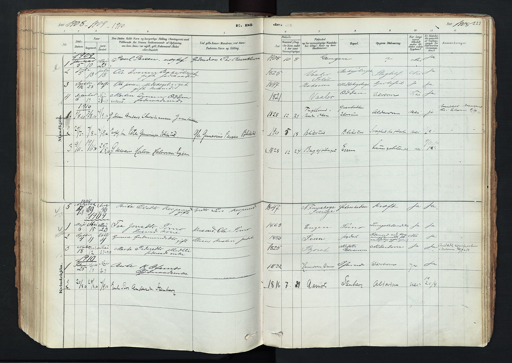 Trysil prestekontor, AV/SAH-PREST-046/H/Ha/Haa/L0011: Ministerialbok nr. 11, 1878-1912, s. 223