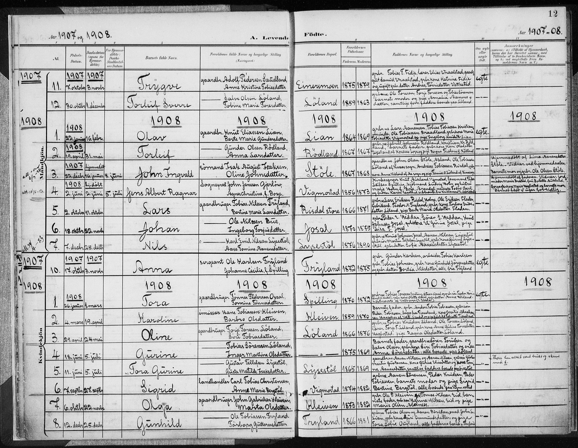Nord-Audnedal sokneprestkontor, AV/SAK-1111-0032/F/Fa/Fab/L0004: Ministerialbok nr. A 4, 1901-1917, s. 12