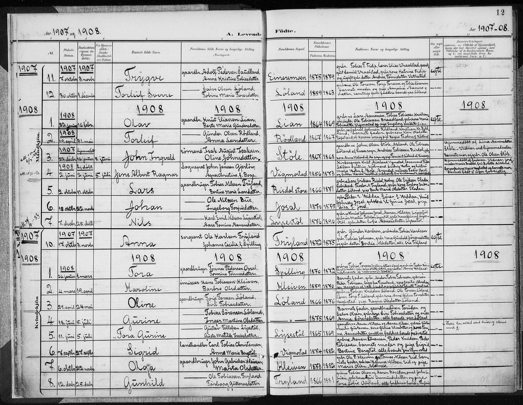 Nord-Audnedal sokneprestkontor, SAK/1111-0032/F/Fa/Fab/L0004: Ministerialbok nr. A 4, 1901-1917, s. 12