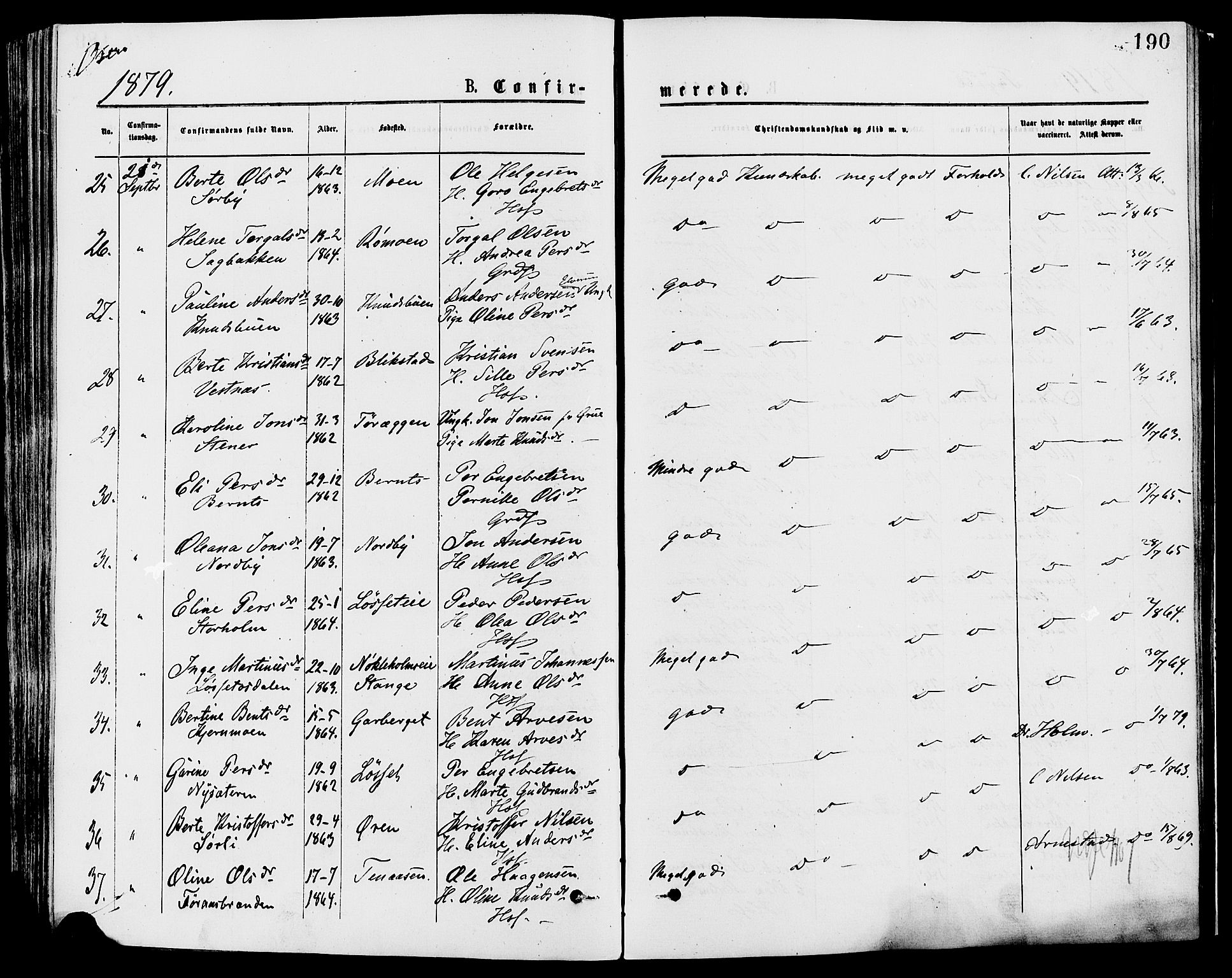 Trysil prestekontor, AV/SAH-PREST-046/H/Ha/Haa/L0007: Ministerialbok nr. 7, 1874-1880, s. 190