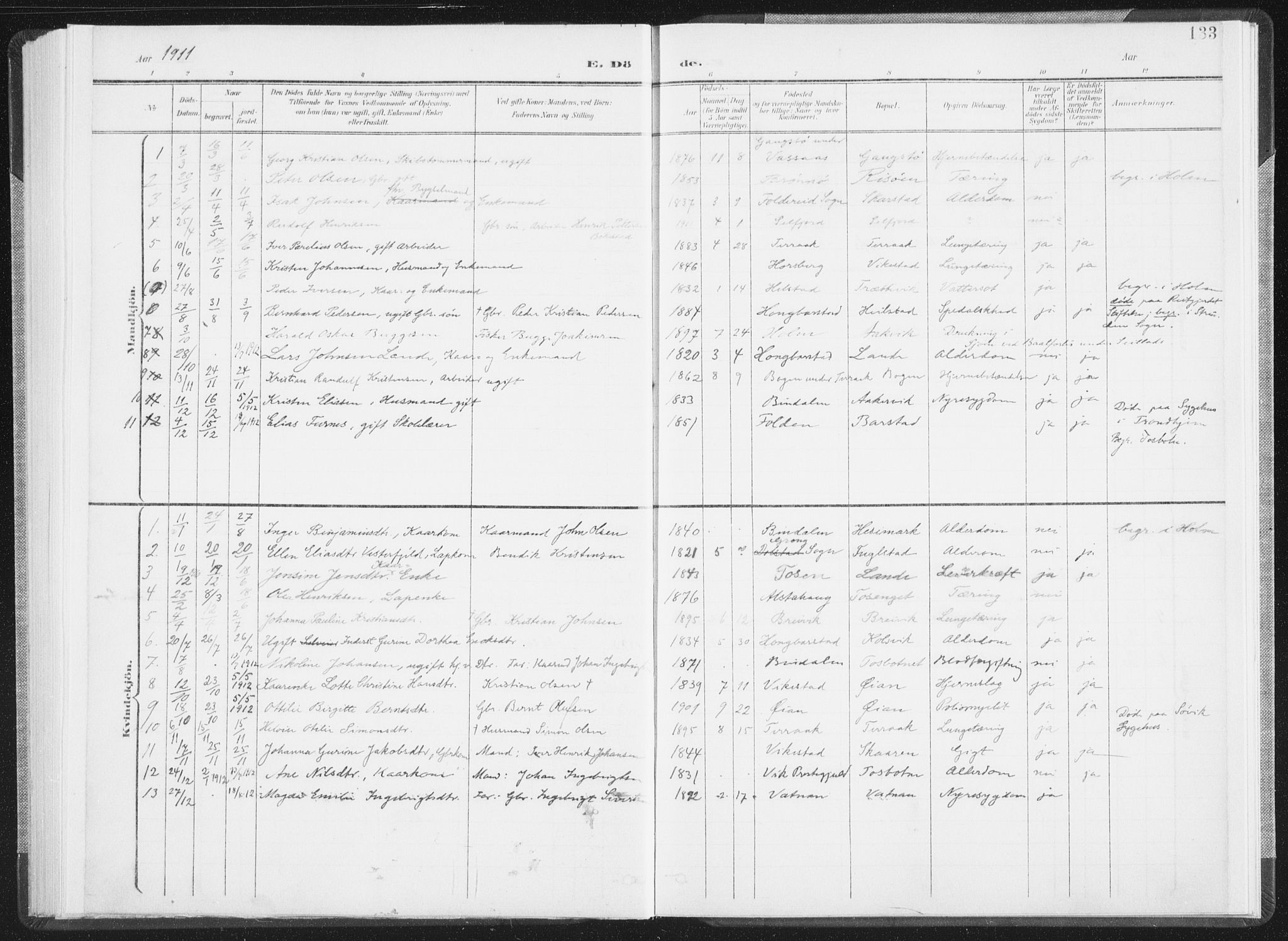 Ministerialprotokoller, klokkerbøker og fødselsregistre - Nordland, SAT/A-1459/810/L0153: Ministerialbok nr. 810A12, 1899-1914, s. 133