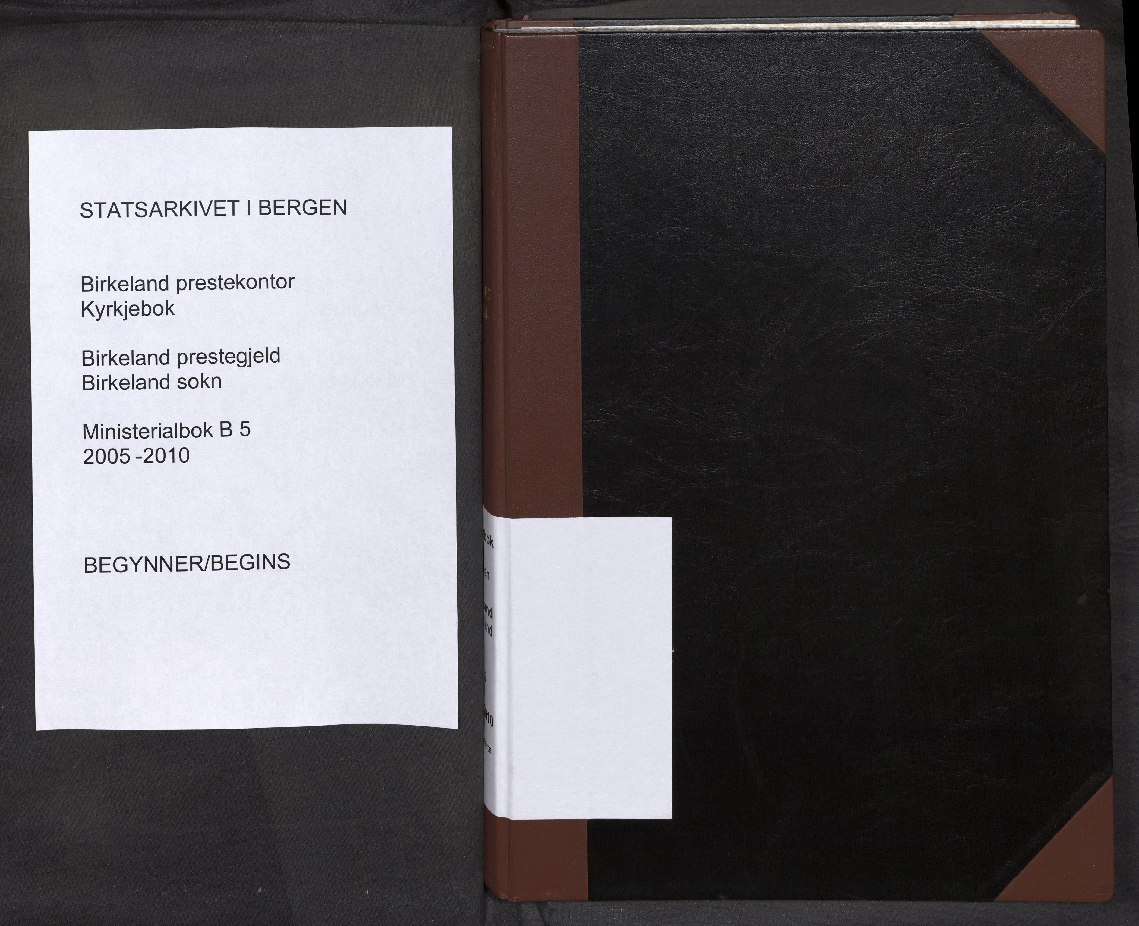 Birkeland Sokneprestembete, AV/SAB-A-74601/H/Haa/Haab/L0005: Ministerialbok nr. B 5, 2005-2010