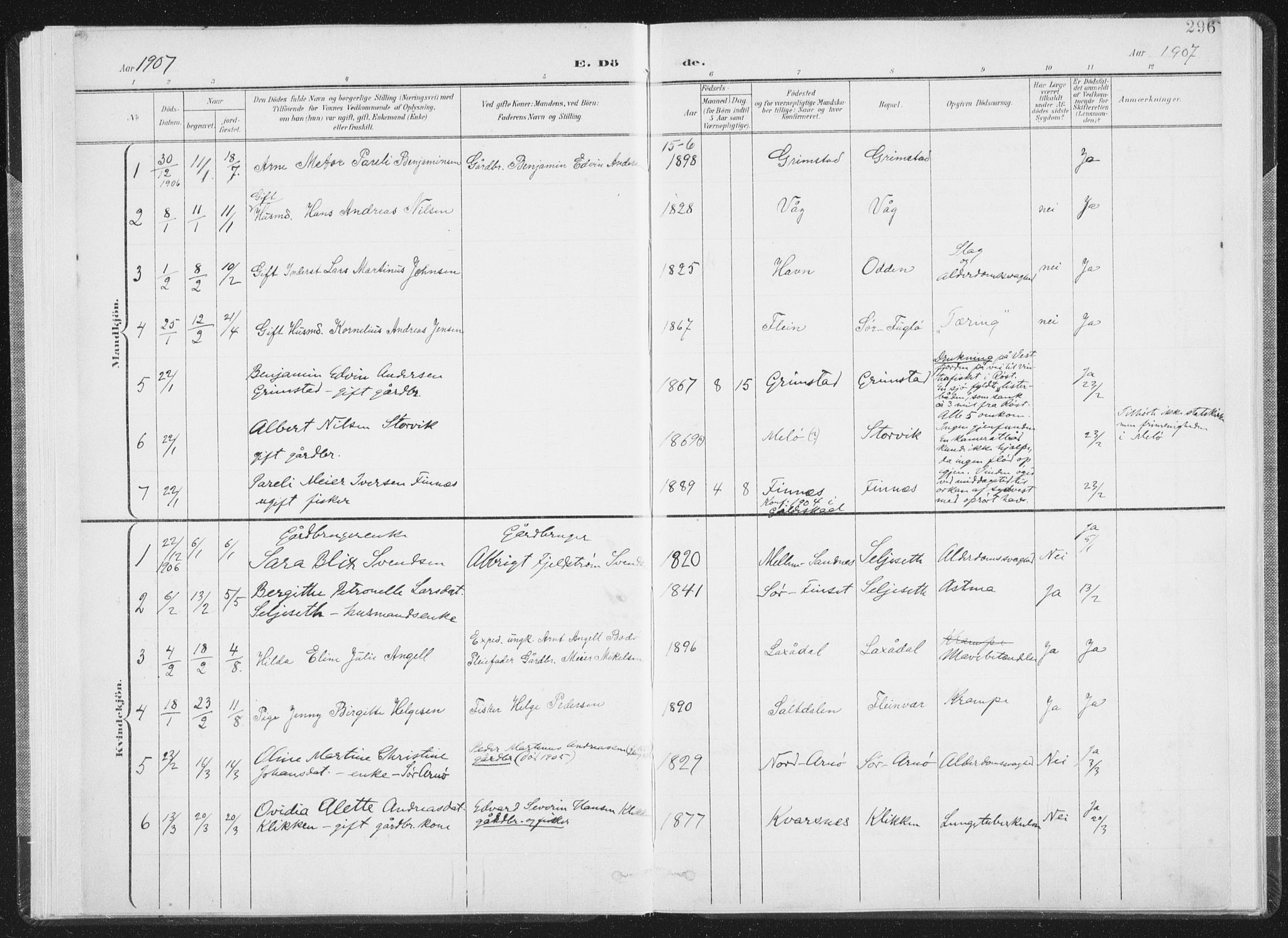 Ministerialprotokoller, klokkerbøker og fødselsregistre - Nordland, AV/SAT-A-1459/805/L0103: Ministerialbok nr. 805A08II, 1900-1909, s. 296