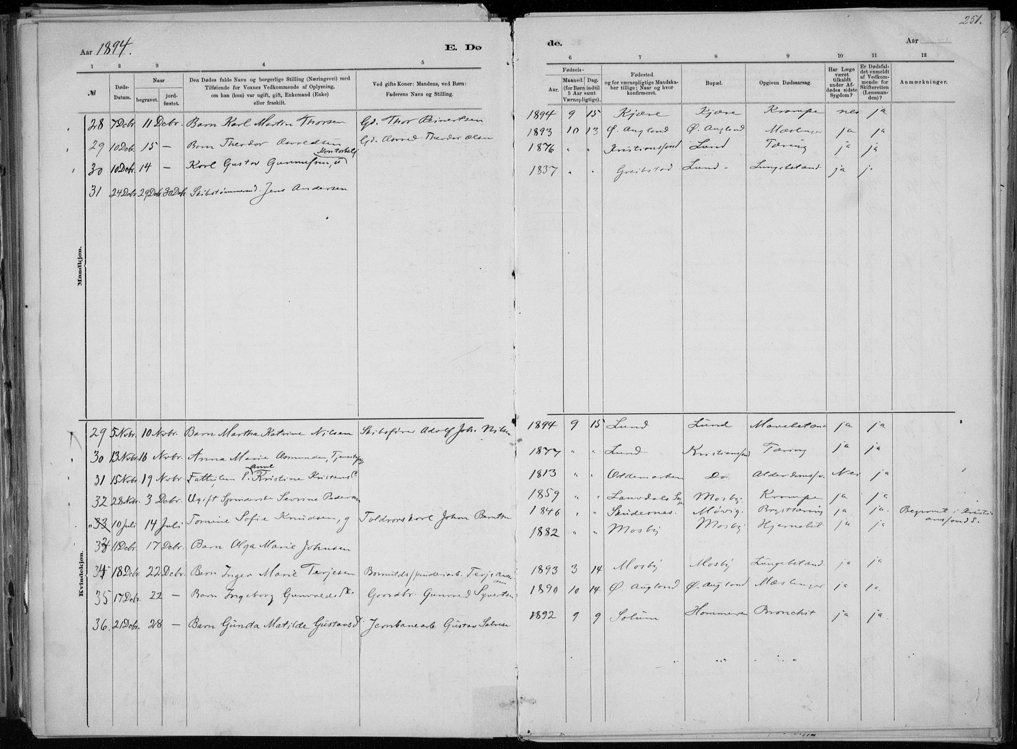 Oddernes sokneprestkontor, SAK/1111-0033/F/Fa/Faa/L0009: Ministerialbok nr. A 9, 1884-1896, s. 251