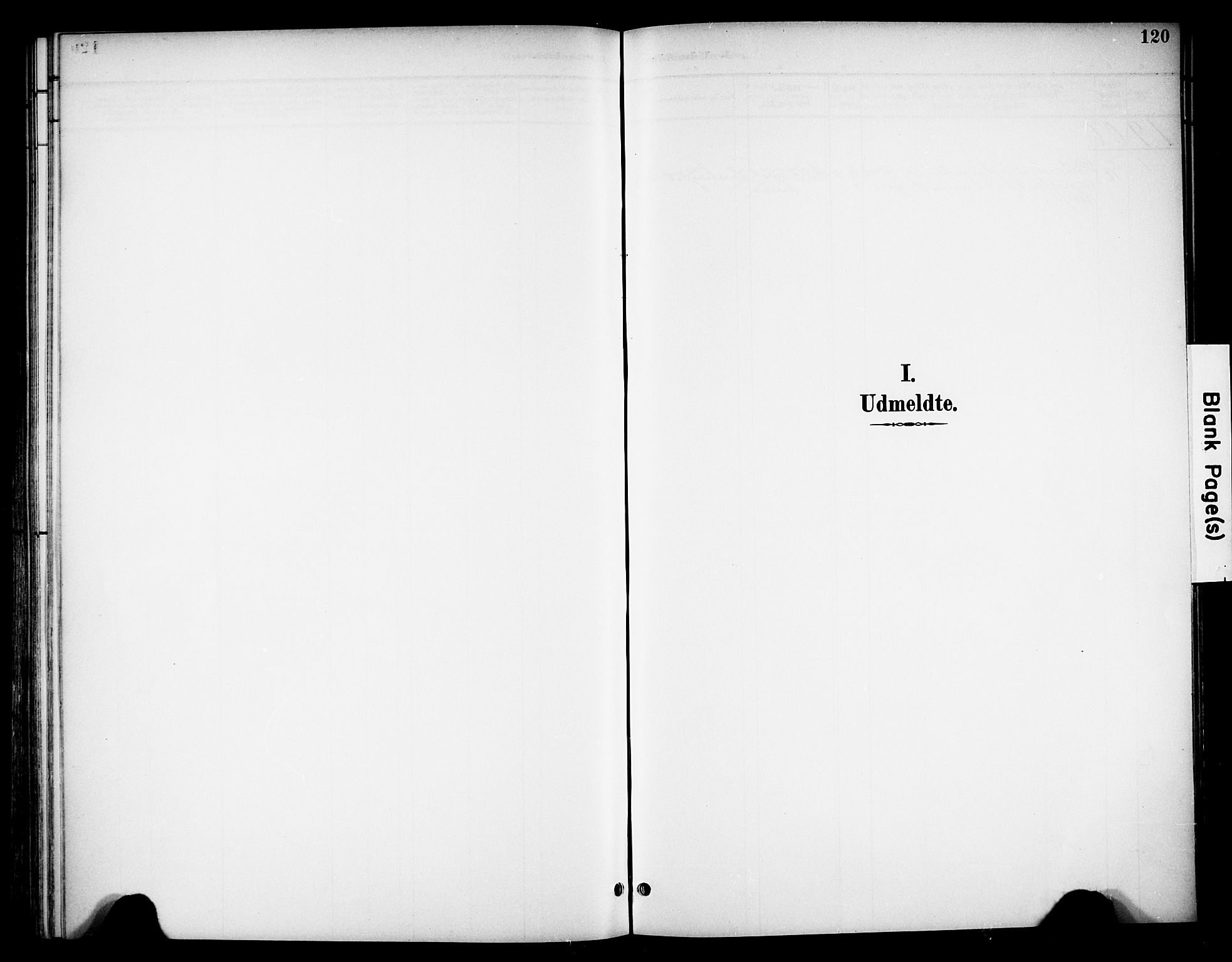 Biri prestekontor, AV/SAH-PREST-096/H/Ha/Haa/L0008: Ministerialbok nr. 8, 1894-1901, s. 120