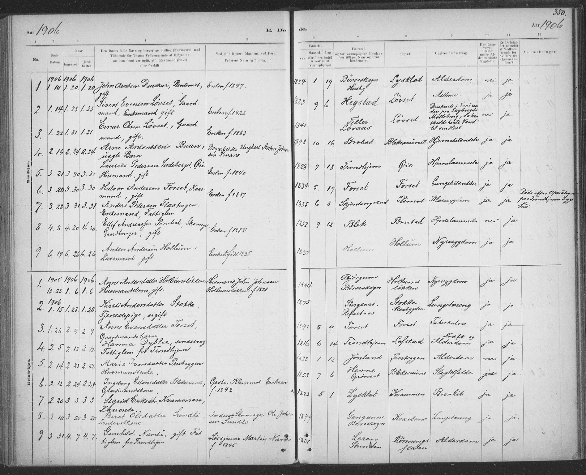 Ministerialprotokoller, klokkerbøker og fødselsregistre - Sør-Trøndelag, SAT/A-1456/691/L1085: Ministerialbok nr. 691A17, 1887-1908, s. 350