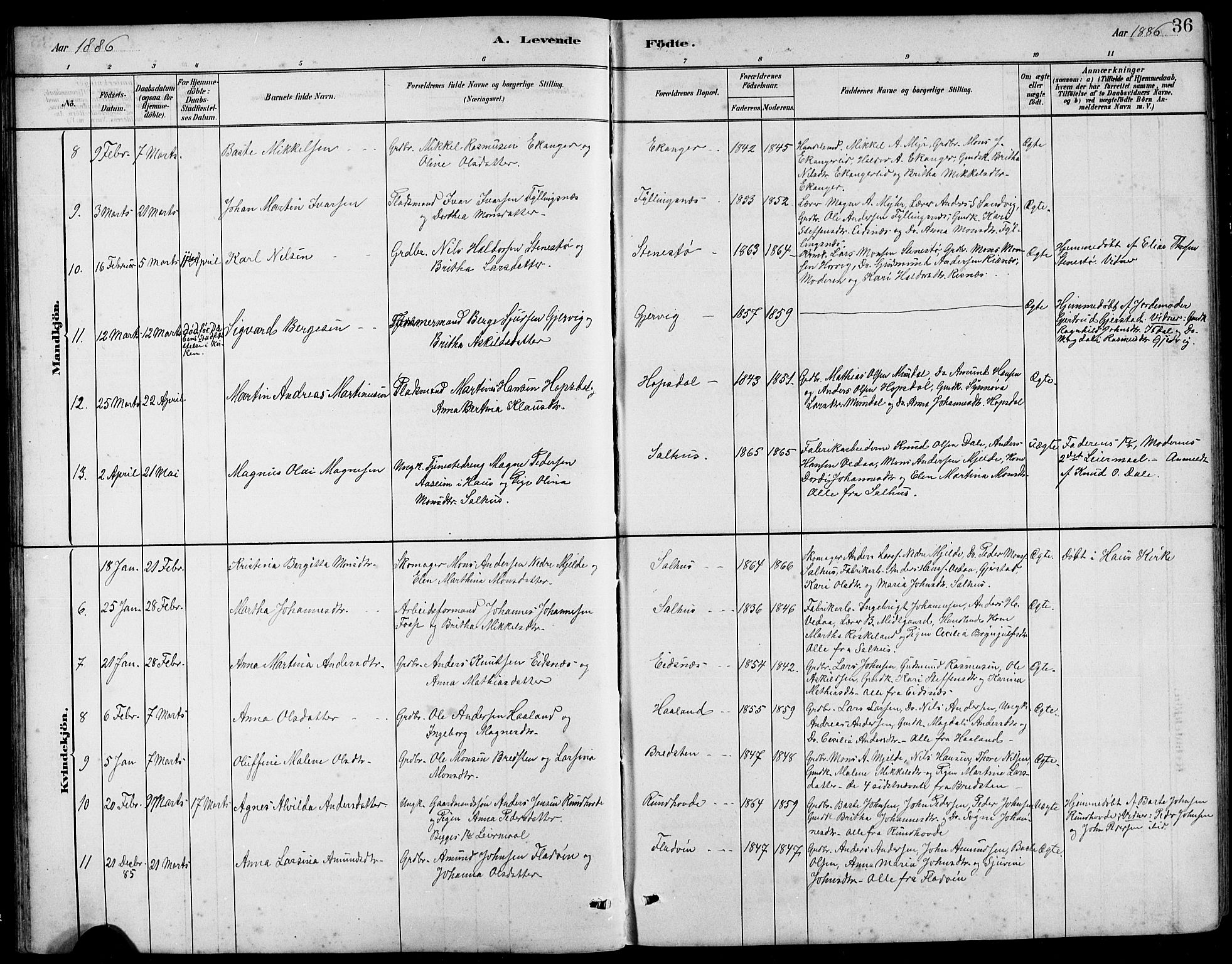 Hamre sokneprestembete, AV/SAB-A-75501/H/Ha/Hab: Klokkerbok nr. B 3, 1881-1898, s. 36