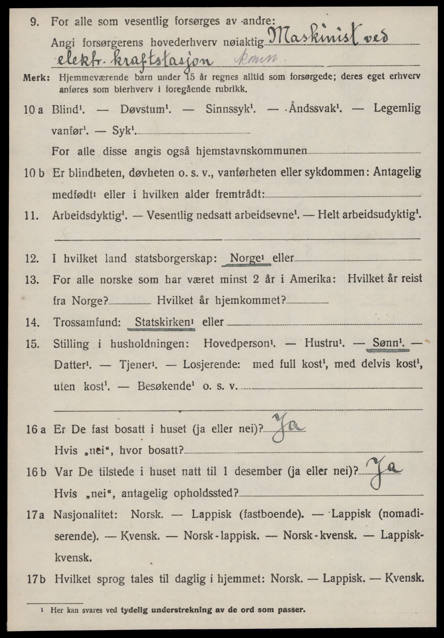 SAT, Folketelling 1920 for 1638 Orkdal herred, 1920, s. 4619