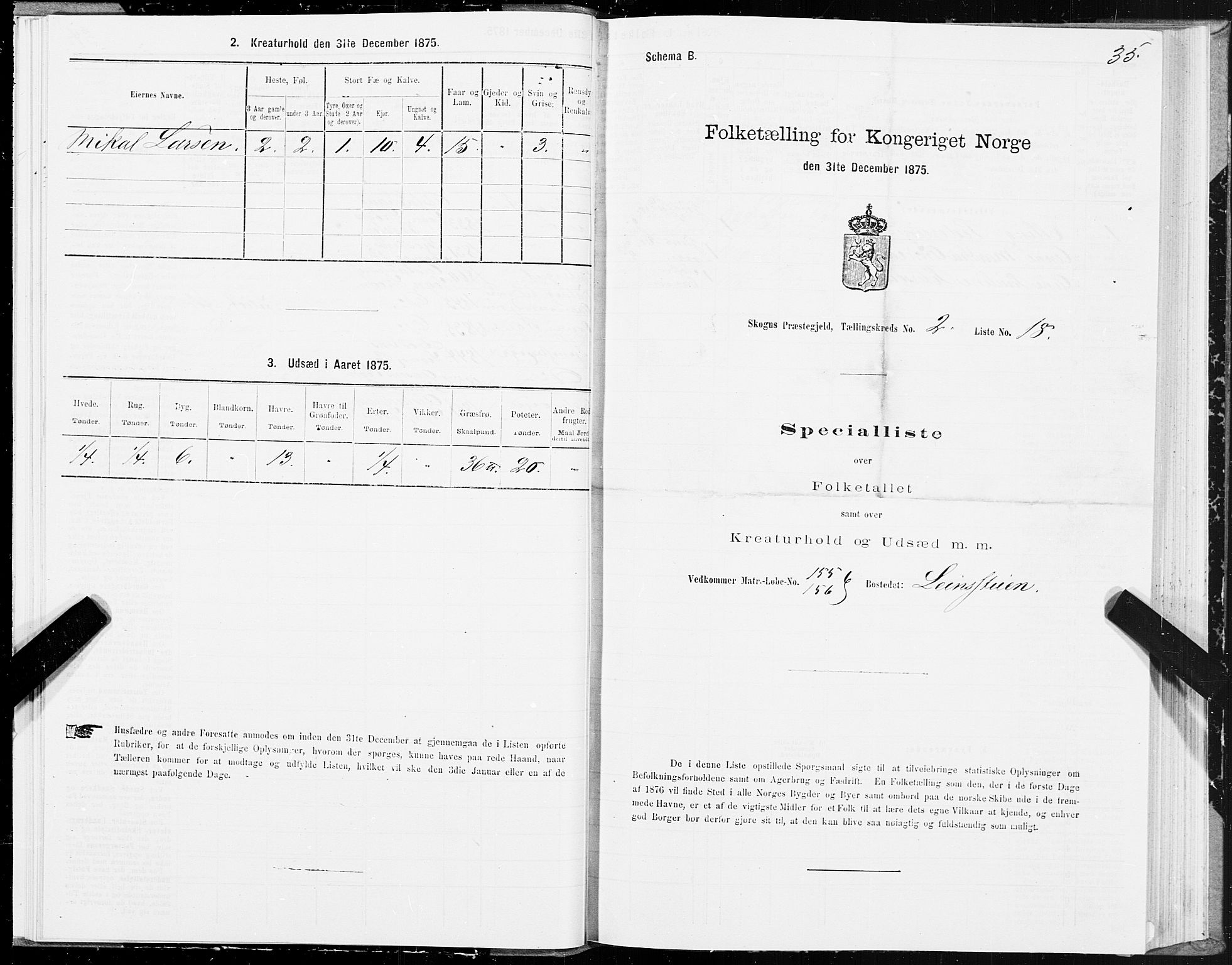 SAT, Folketelling 1875 for 1719P Skogn prestegjeld, 1875, s. 2035