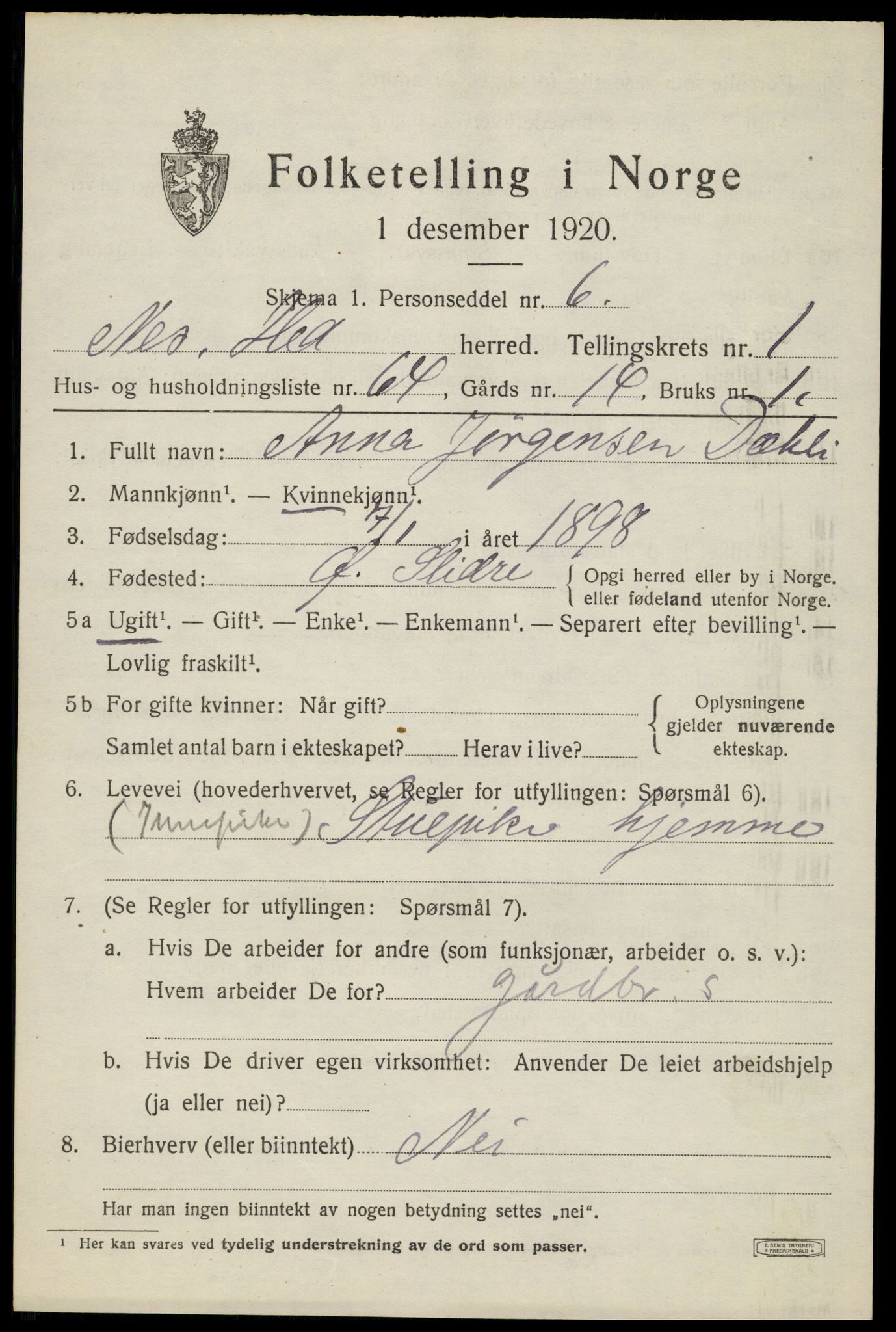 SAH, Folketelling 1920 for 0411 Nes herred, 1920, s. 1960