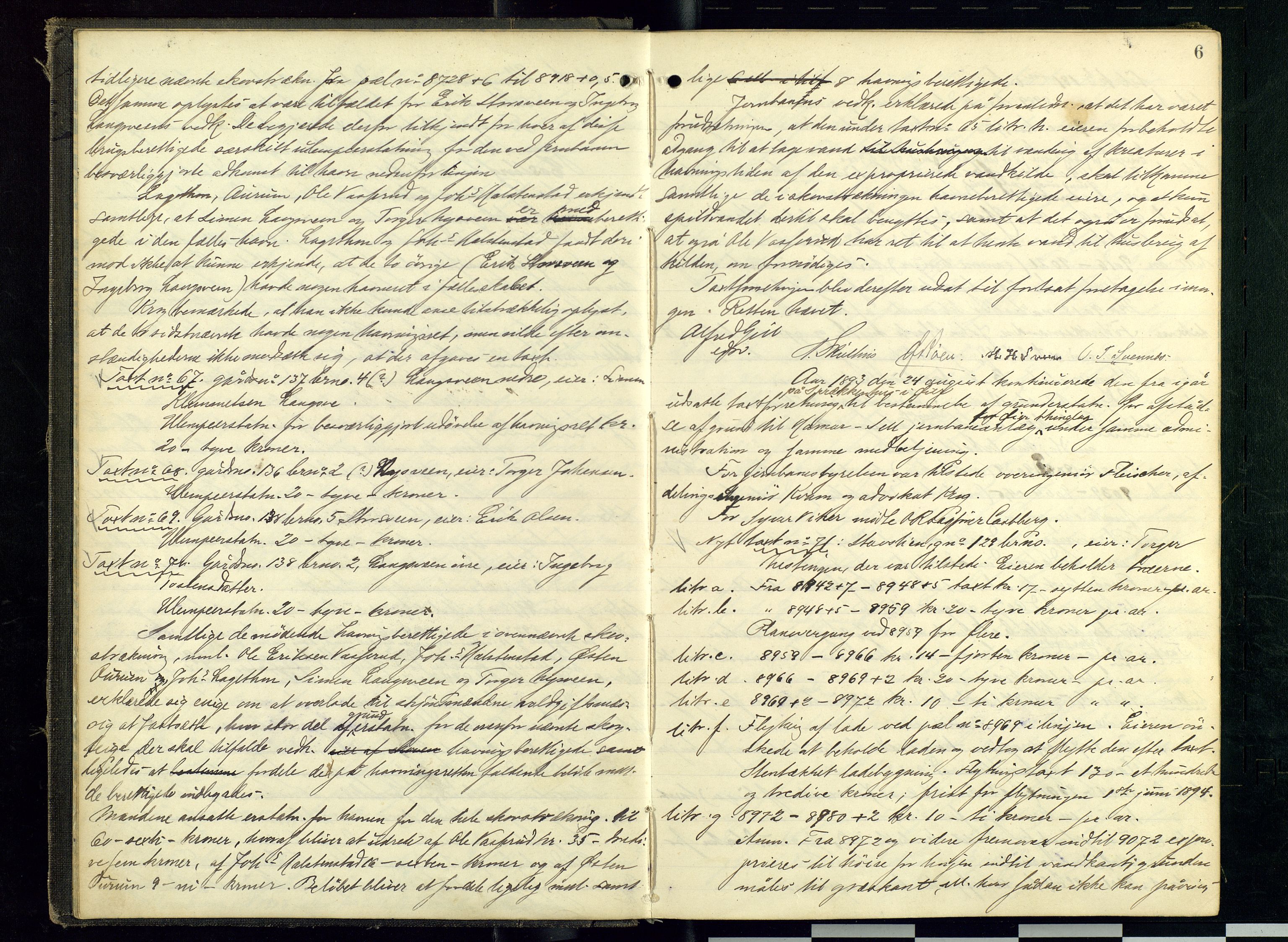 Mellom-Gudbrandsdal sorenskriveri, SAH/TING-038/G/Gc/Gca/L0018: Ekstrarettsprotokoll, 1893-1898, s. 6