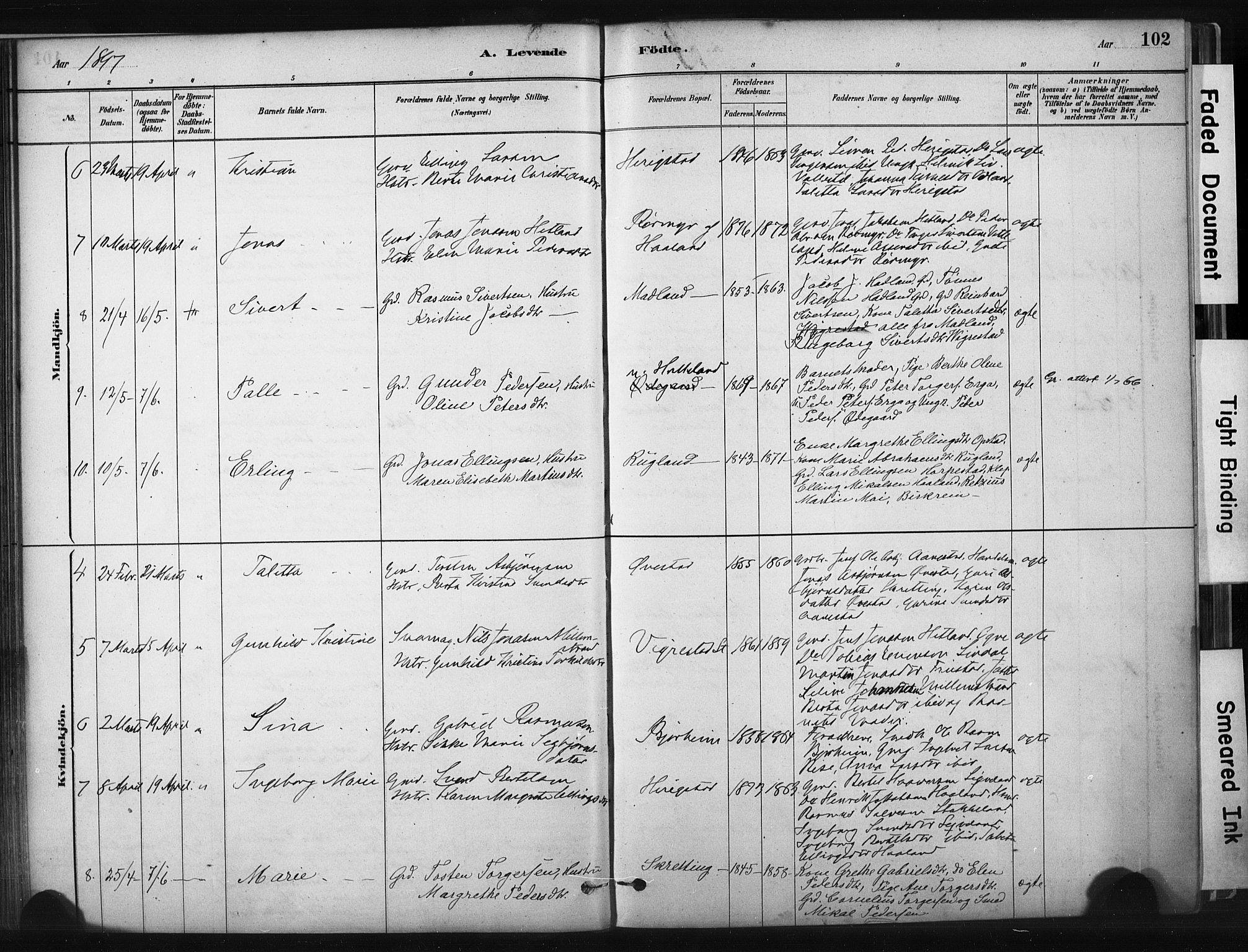 Hå sokneprestkontor, AV/SAST-A-101801/001/30BA/L0011: Ministerialbok nr. A 10, 1879-1900, s. 102
