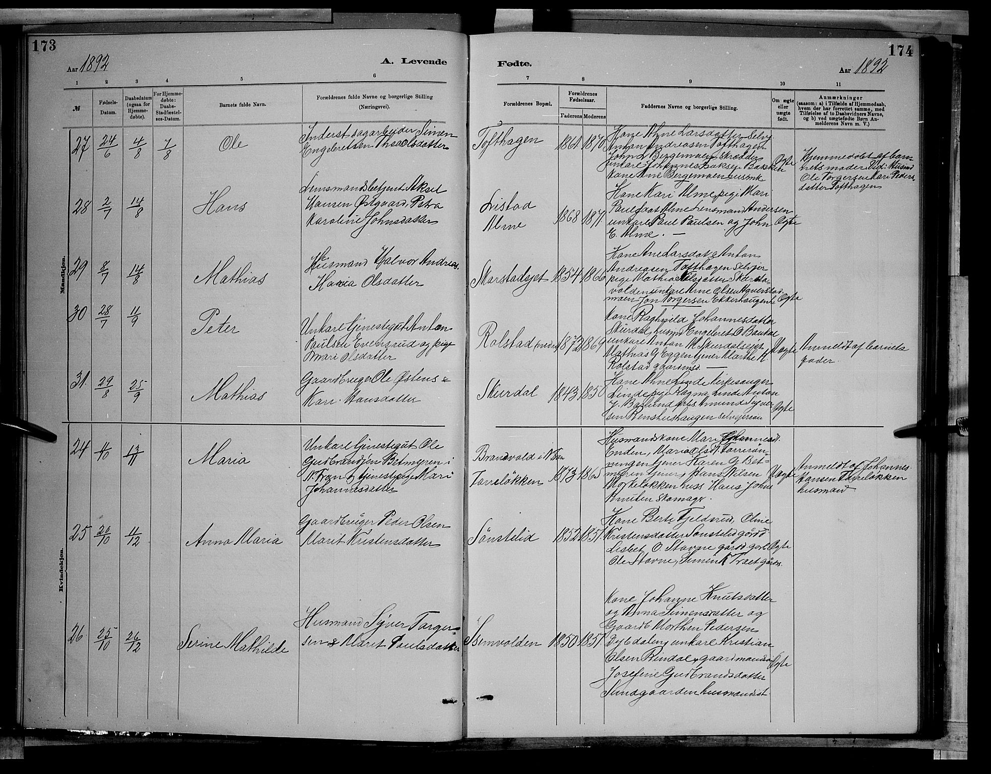 Sør-Fron prestekontor, AV/SAH-PREST-010/H/Ha/Hab/L0003: Klokkerbok nr. 3, 1884-1896, s. 173-174