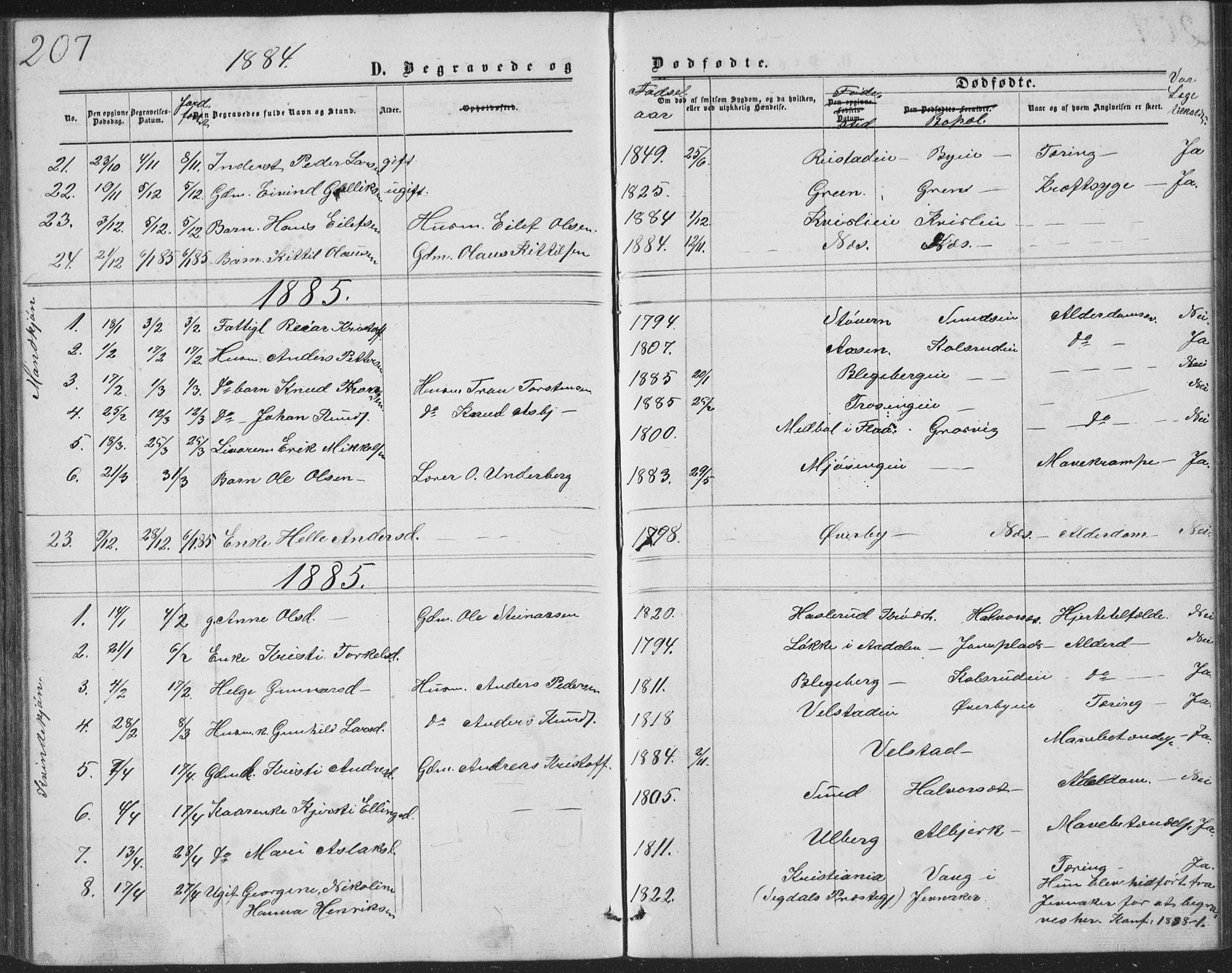 Sigdal kirkebøker, AV/SAKO-A-245/G/Ga/L0004: Klokkerbok nr. I 4, 1879-1885, s. 207