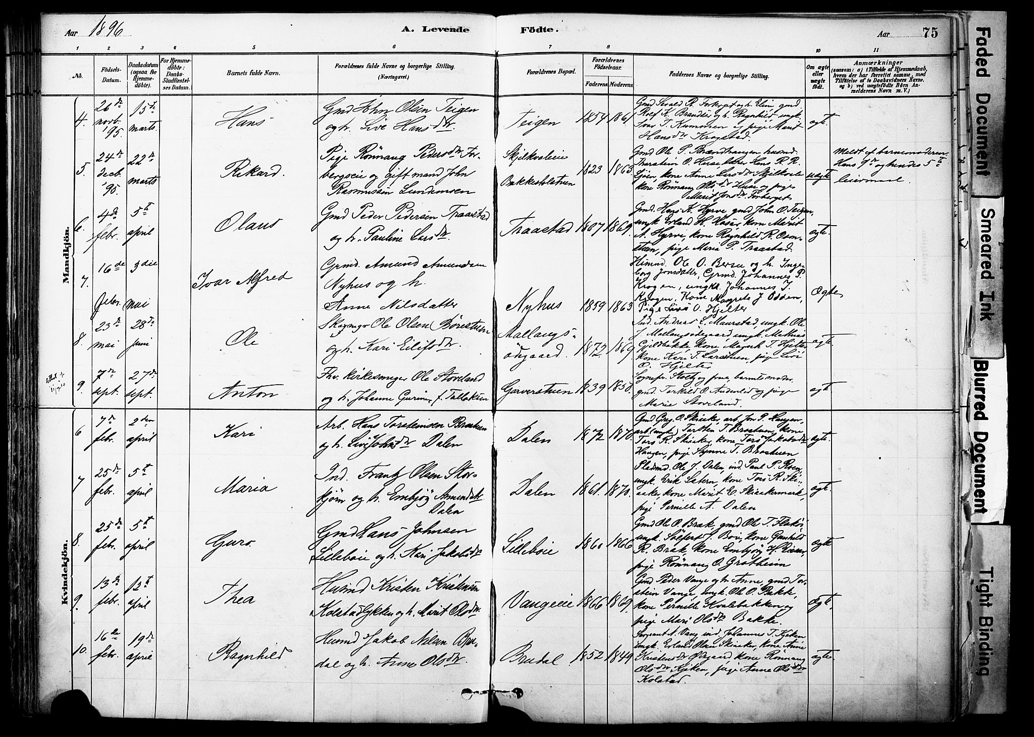 Skjåk prestekontor, AV/SAH-PREST-072/H/Ha/Haa/L0003: Ministerialbok nr. 3, 1880-1907, s. 75