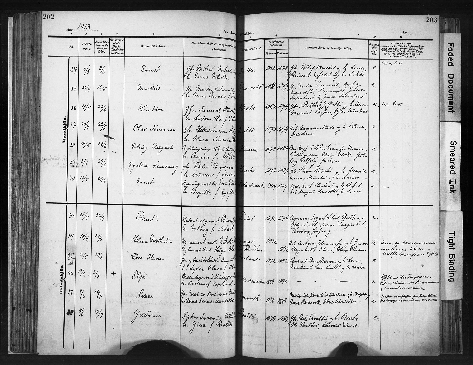 Hetland sokneprestkontor, AV/SAST-A-101826/30/30BA/L0013: Ministerialbok nr. A 13, 1904-1918, s. 202-203