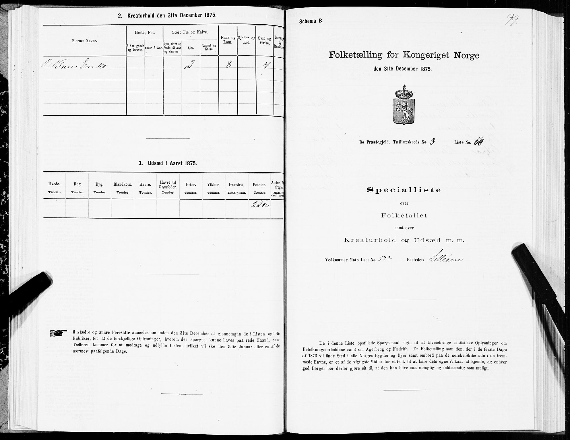 SAT, Folketelling 1875 for 1867P Bø prestegjeld, 1875, s. 2099