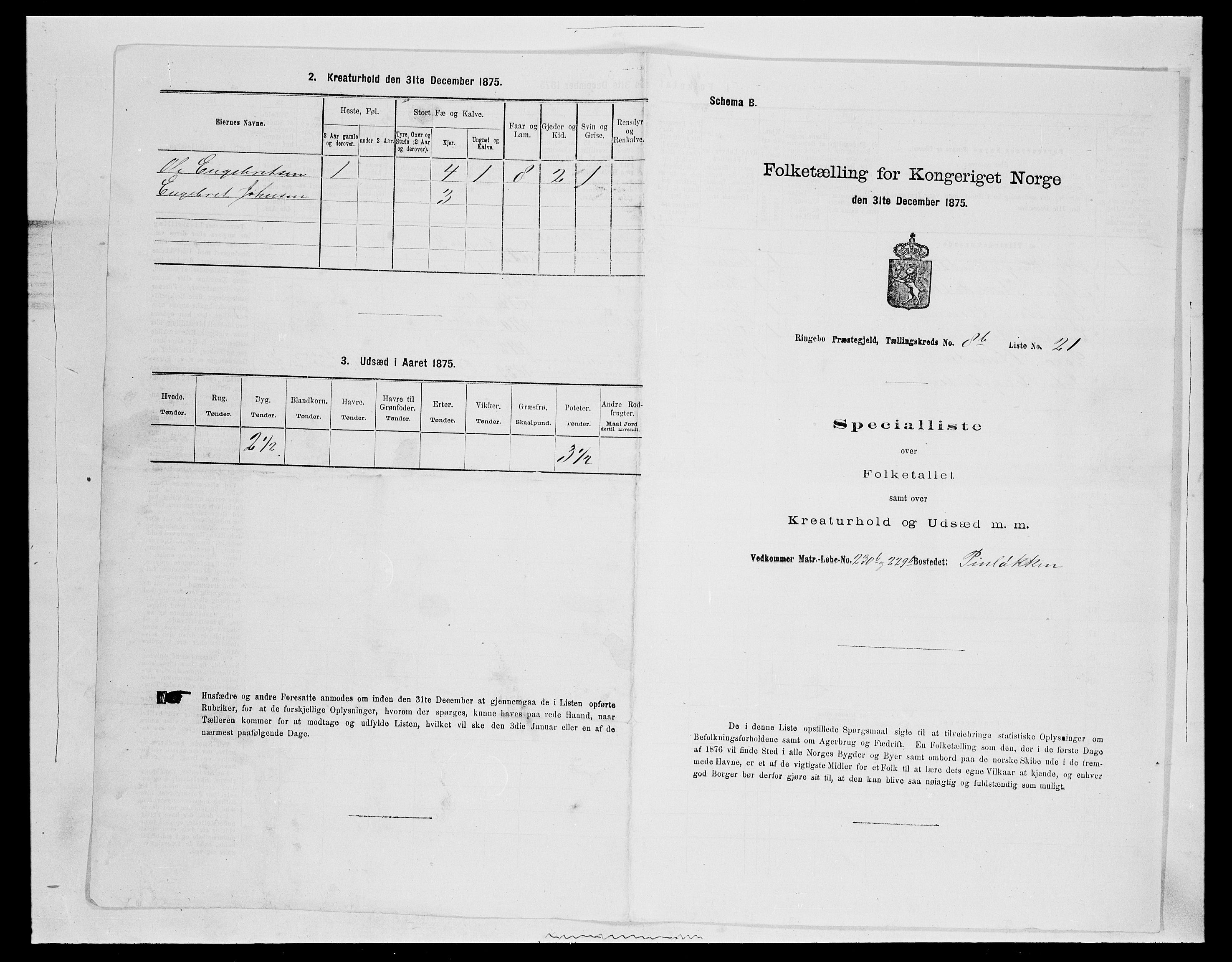 SAH, Folketelling 1875 for 0520P Ringebu prestegjeld, 1875, s. 1312