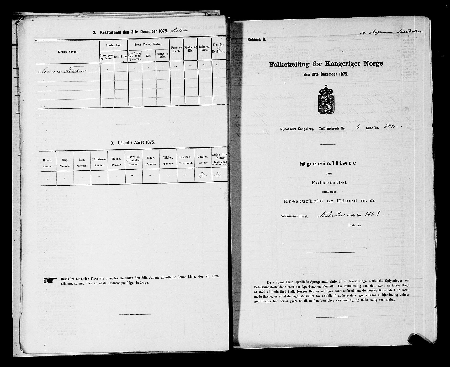 SAKO, Folketelling 1875 for 0604B Kongsberg prestegjeld, Kongsberg kjøpstad, 1875, s. 1197