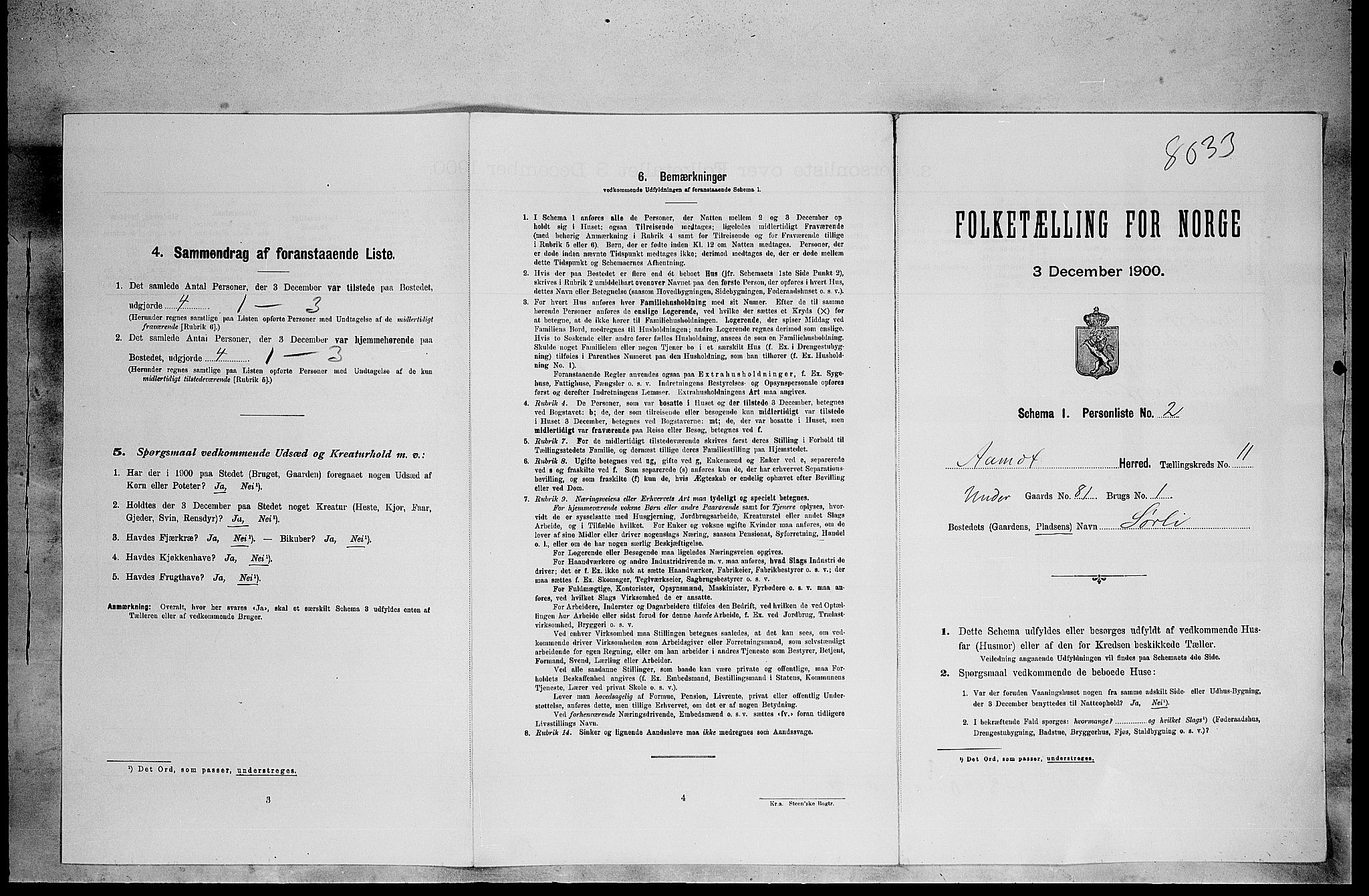 SAH, Folketelling 1900 for 0429 Åmot herred, 1900, s. 1008