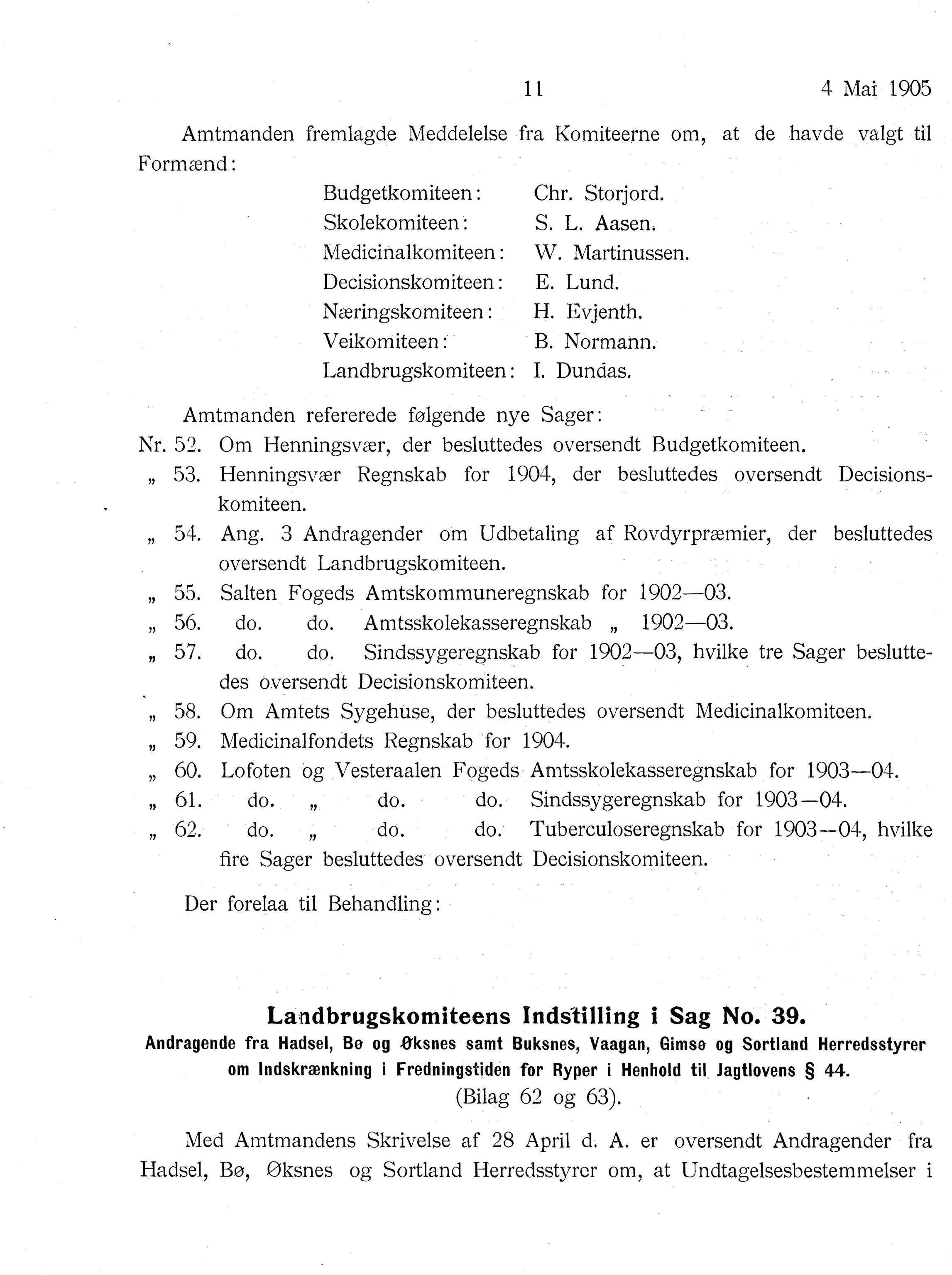 Nordland Fylkeskommune. Fylkestinget, AIN/NFK-17/176/A/Ac/L0028: Fylkestingsforhandlinger 1905, 1905