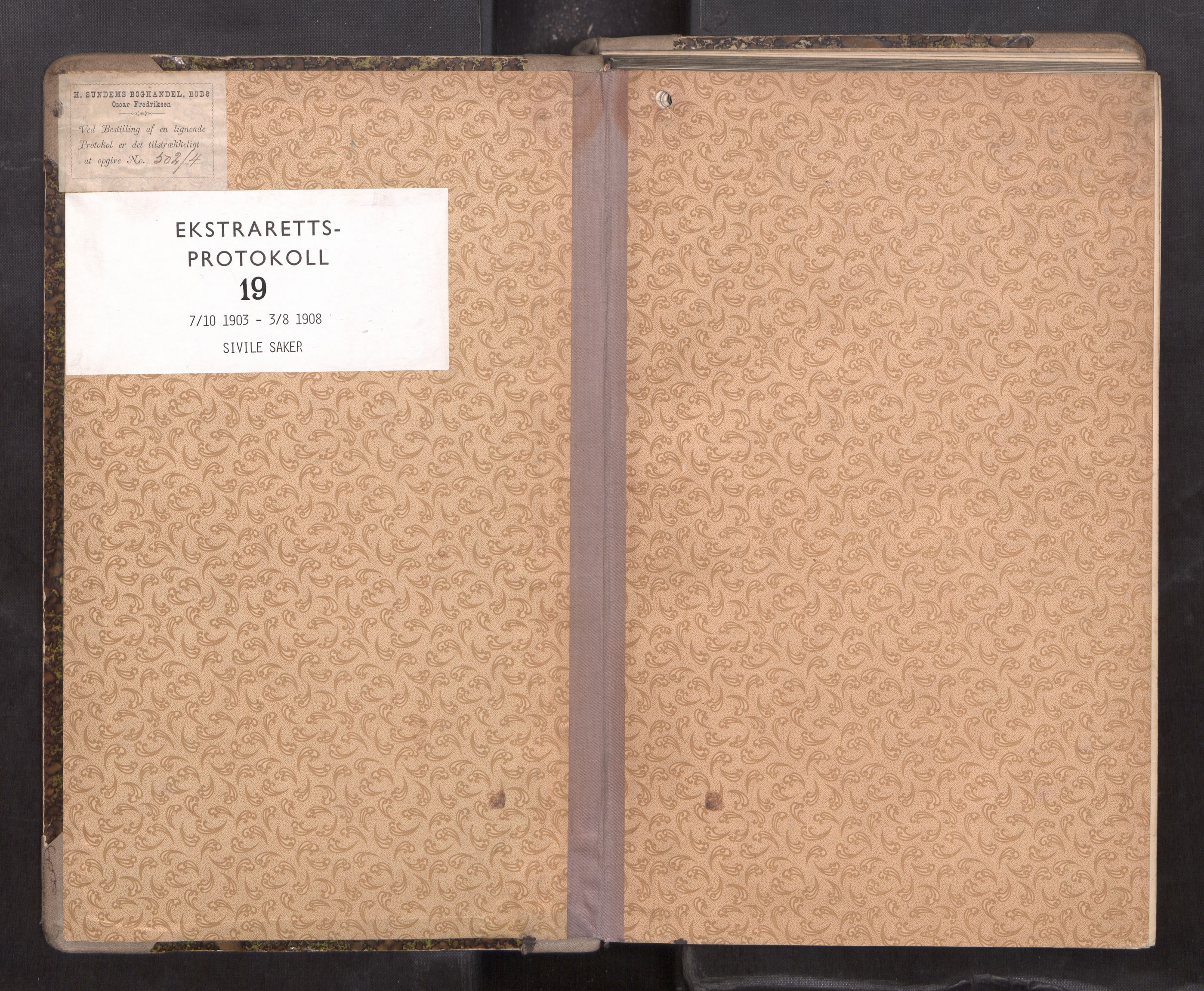 Rana sorenskriveri , AV/SAT-A-1108/1/1/1B/L0019: Ekstrarettsprotokoll, 1903-1908