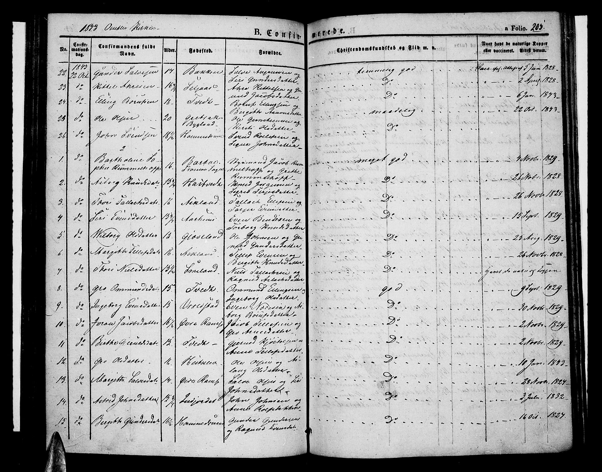 Åmli sokneprestkontor, AV/SAK-1111-0050/F/Fa/Fac/L0007: Ministerialbok nr. A 7 /1, 1829-1851, s. 205