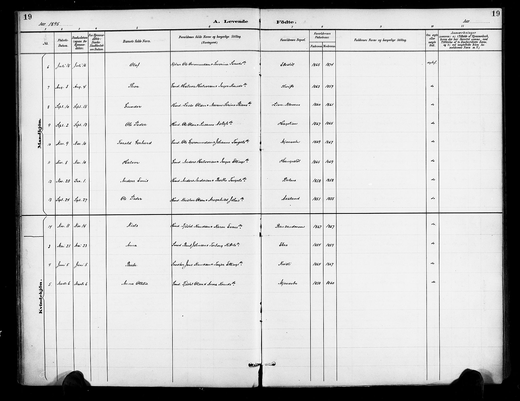 Gjerstad sokneprestkontor, SAK/1111-0014/F/Fa/Fab/L0005: Ministerialbok nr. A 5, 1891-1908, s. 19