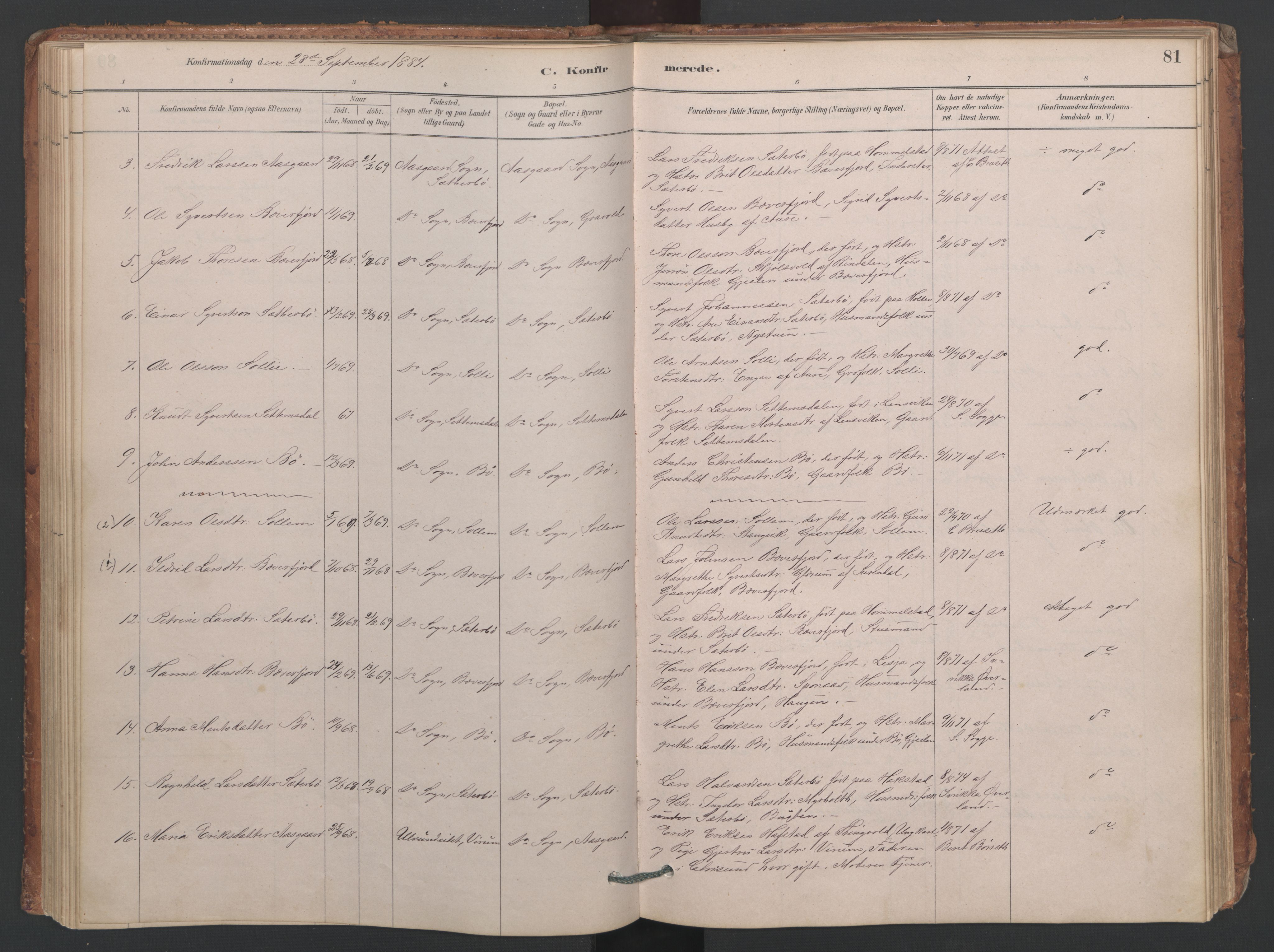 Ministerialprotokoller, klokkerbøker og fødselsregistre - Møre og Romsdal, SAT/A-1454/594/L1036: Ministerialbok nr. 594A02 (?), 1879-1910, s. 81