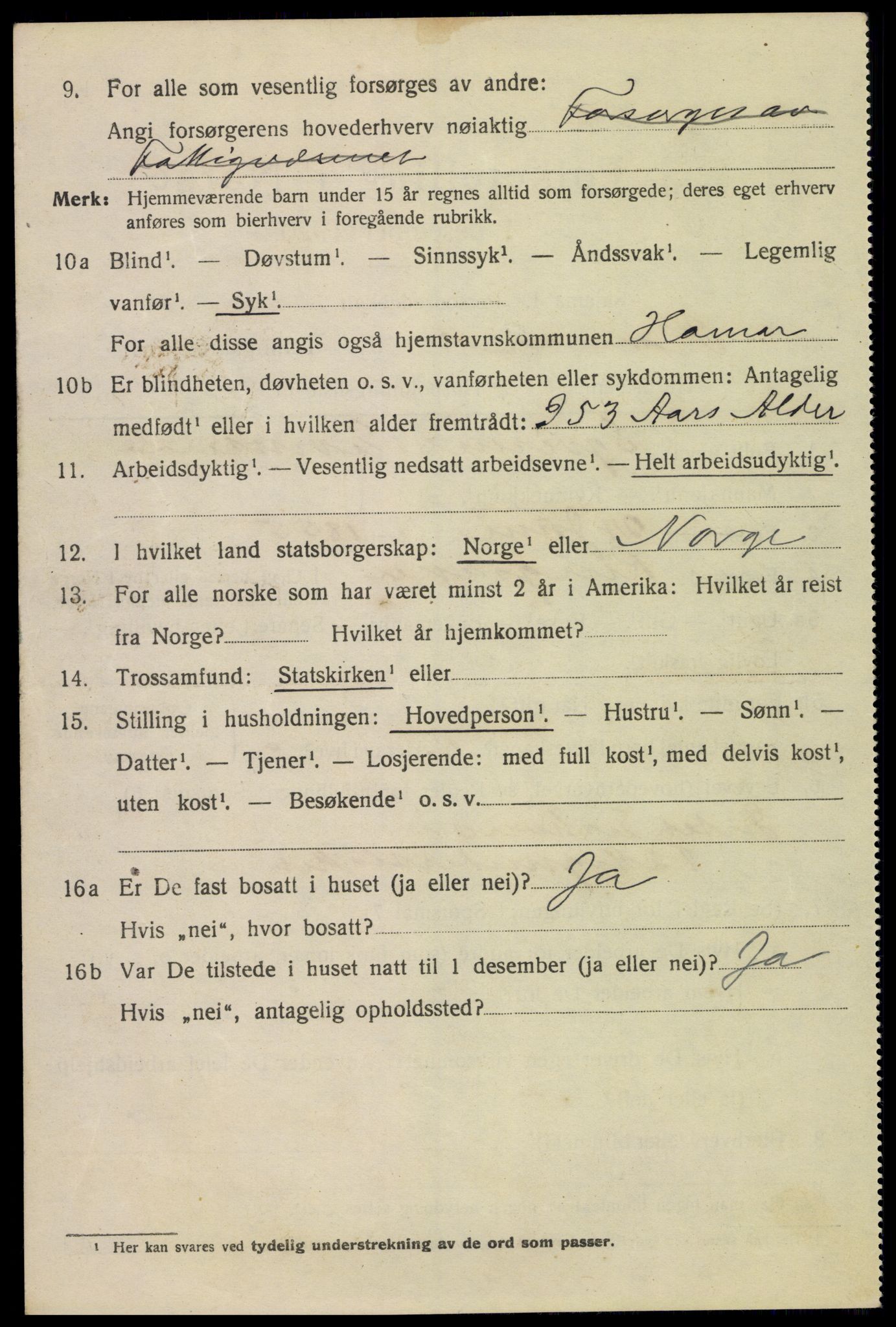 SAH, Folketelling 1920 for 0401 Hamar kjøpstad, 1920, s. 9046