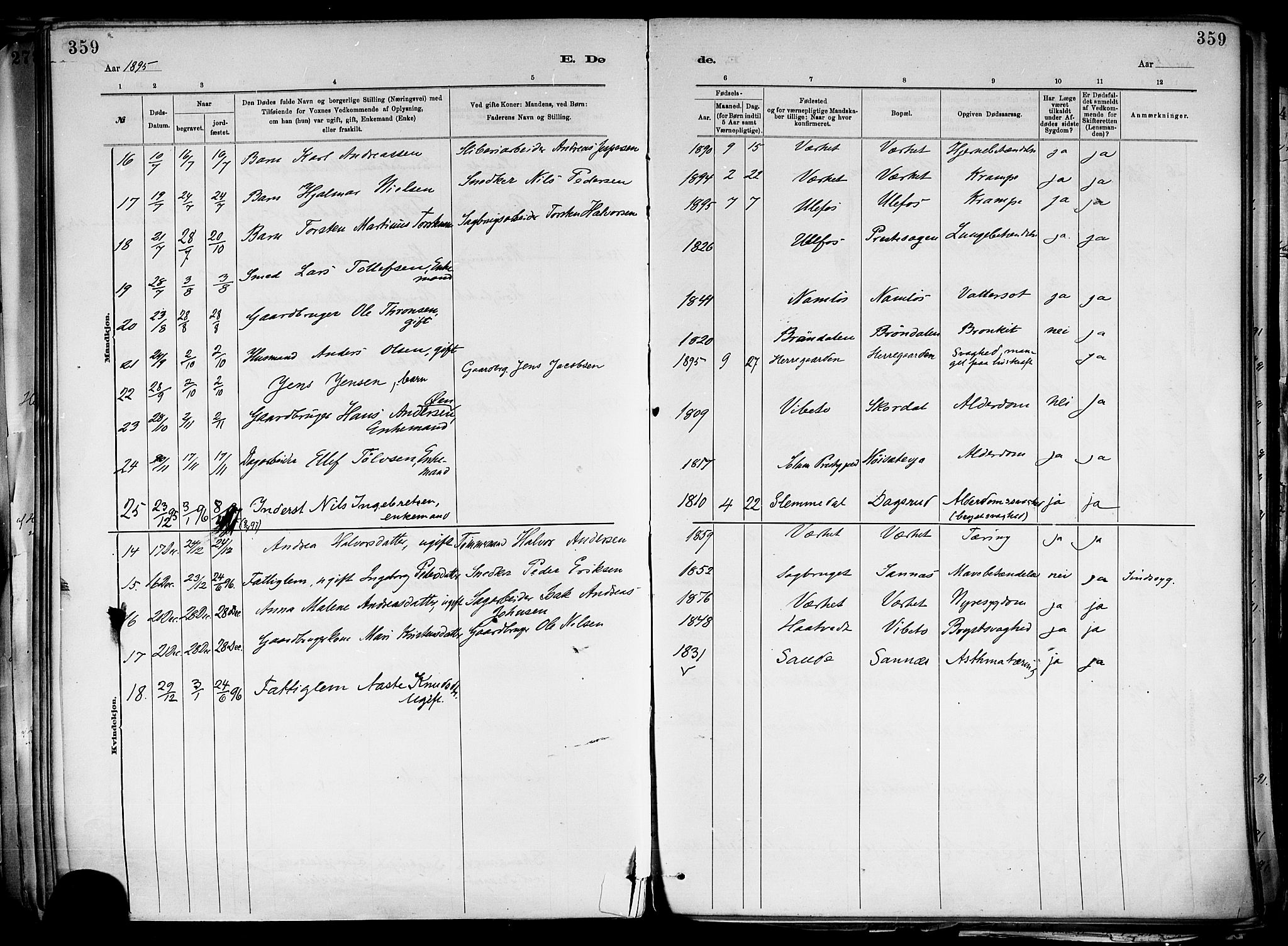 Holla kirkebøker, AV/SAKO-A-272/F/Fa/L0008: Ministerialbok nr. 8, 1882-1897, s. 359