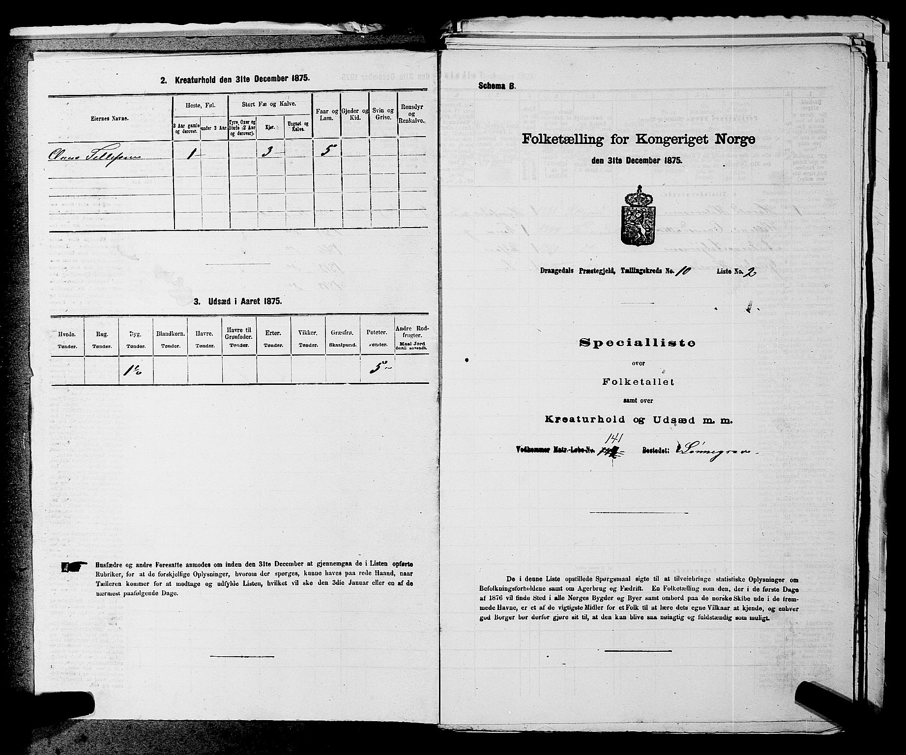 SAKO, Folketelling 1875 for 0817P Drangedal prestegjeld, 1875, s. 1007