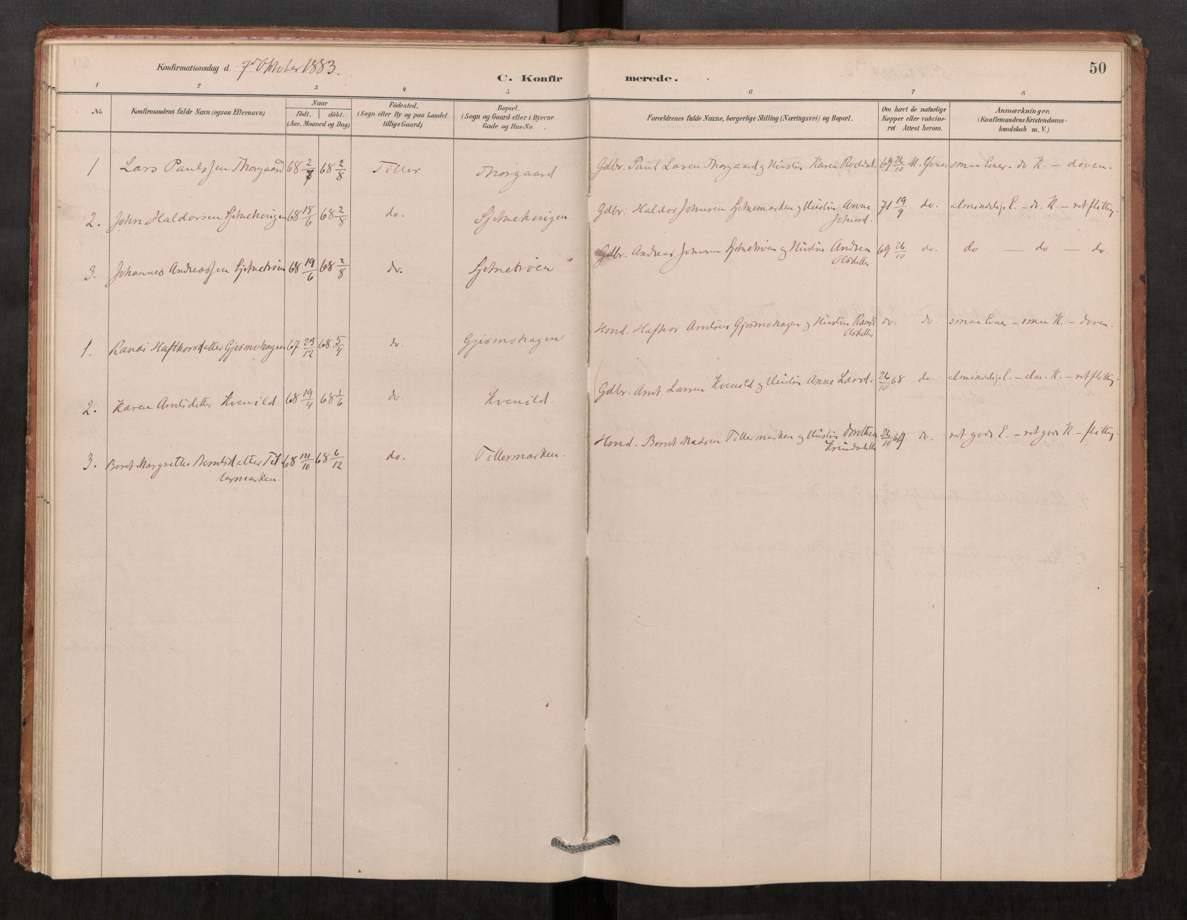 Klæbu sokneprestkontor, AV/SAT-A-1112: Ministerialbok nr. 1, 1880-1900, s. 50