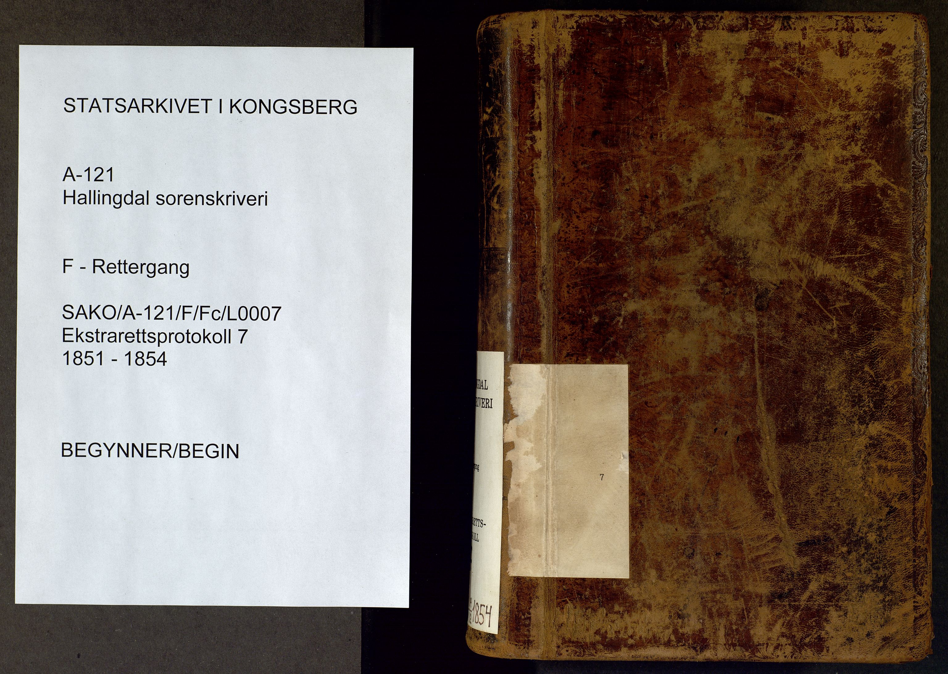 Hallingdal sorenskriveri, AV/SAKO-A-121/F/Fc/L0007: Ekstrarettsprotokoll, 1851-1856