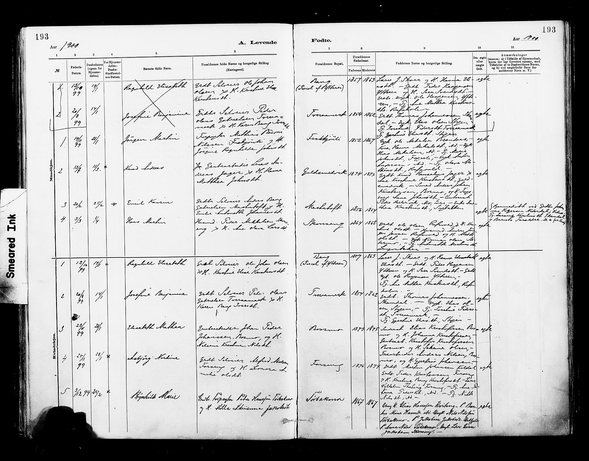 Ministerialprotokoller, klokkerbøker og fødselsregistre - Nordland, AV/SAT-A-1459/827/L0400: Ministerialbok nr. 827A12, 1883-1903, s. 193