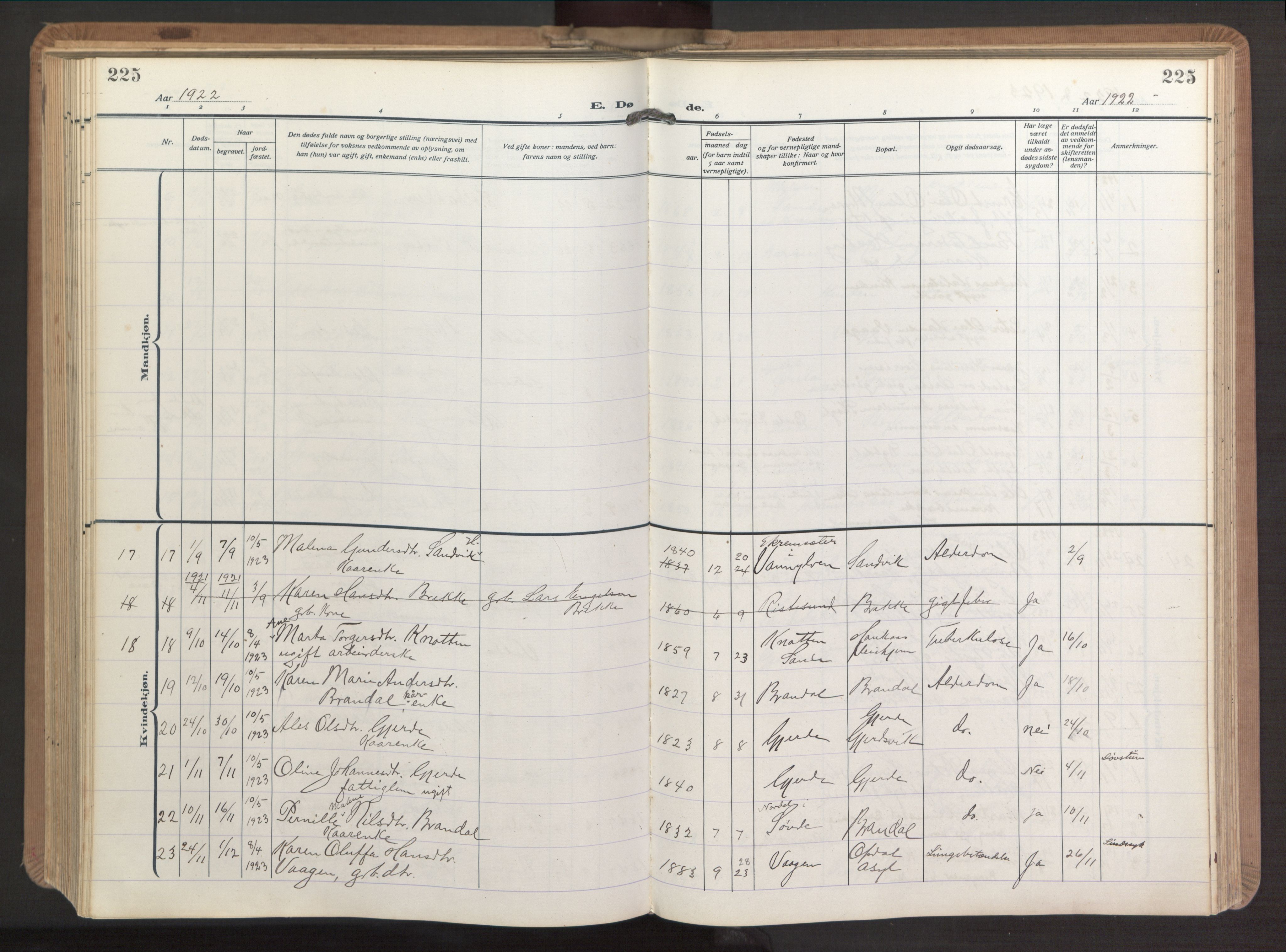 Ministerialprotokoller, klokkerbøker og fødselsregistre - Møre og Romsdal, AV/SAT-A-1454/503/L0044: Ministerialbok nr. 503A12, 1918-1931, s. 225