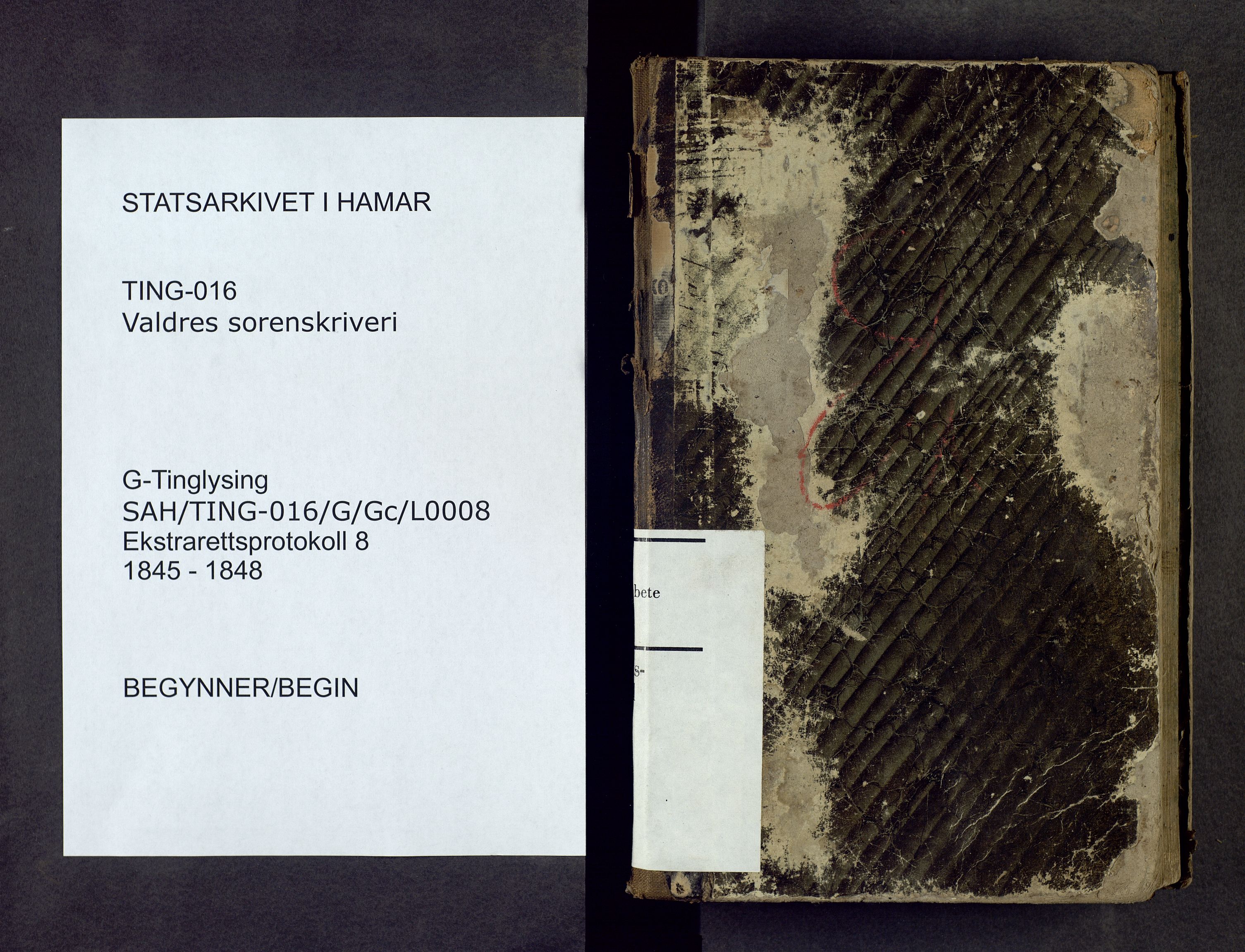 Valdres sorenskriveri, SAH/TING-016/G/Gc/L0008: Ekstrarettsprotokoll, 1845-1848