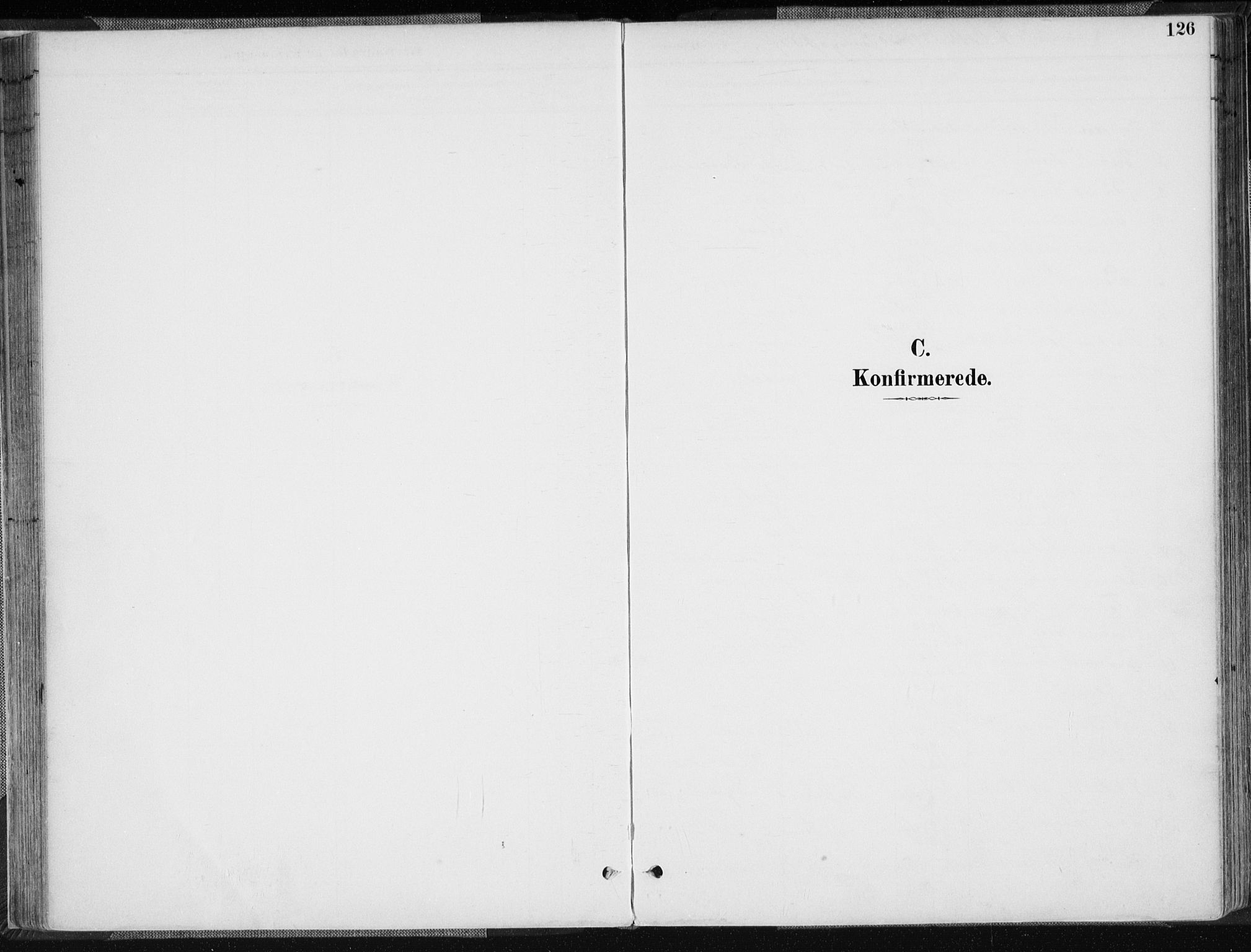 Sør-Audnedal sokneprestkontor, AV/SAK-1111-0039/F/Fa/Fab/L0010: Ministerialbok nr. A 10, 1892-1913, s. 126