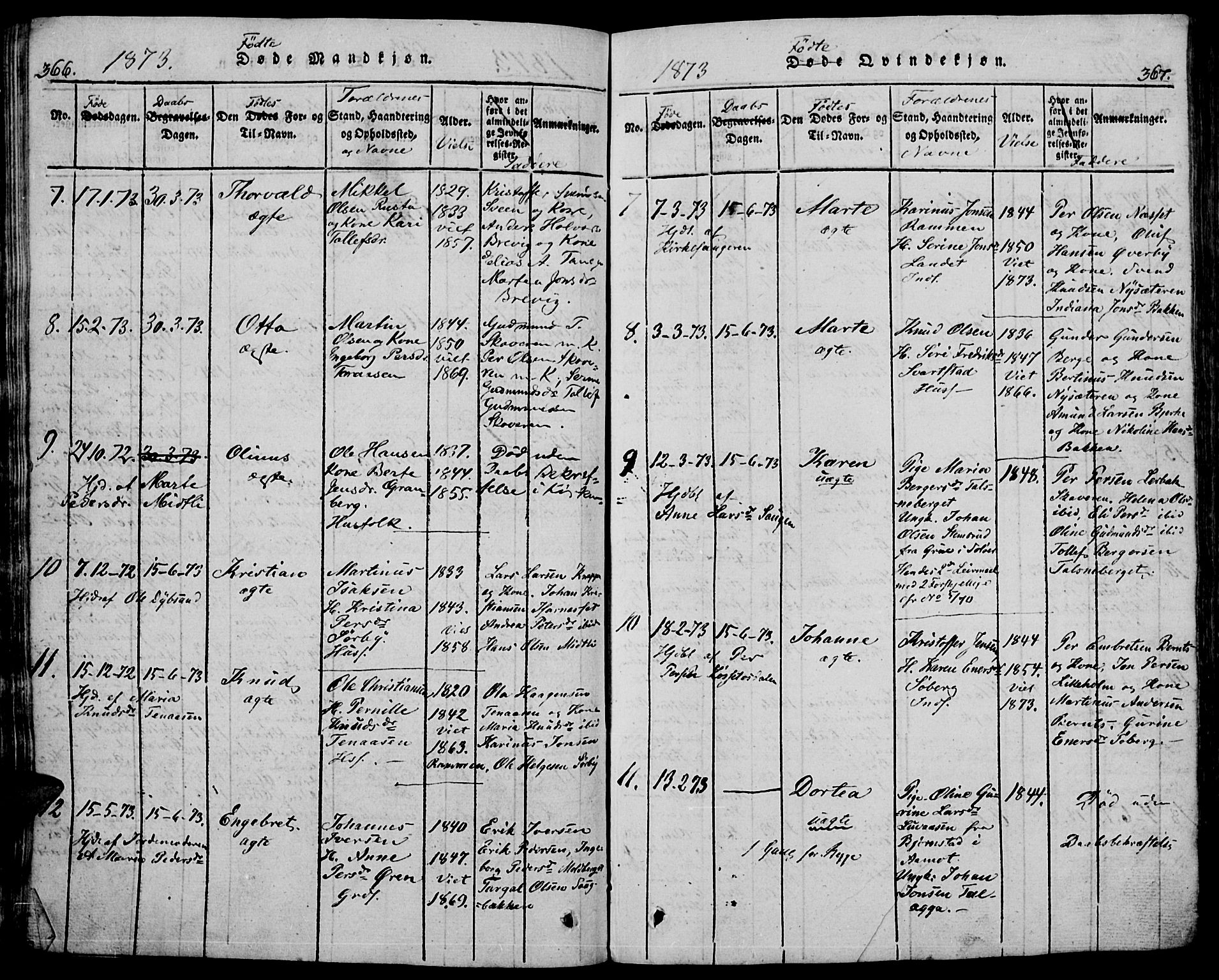 Trysil prestekontor, AV/SAH-PREST-046/H/Ha/Hab/L0005: Klokkerbok nr. 5, 1814-1877, s. 366-367